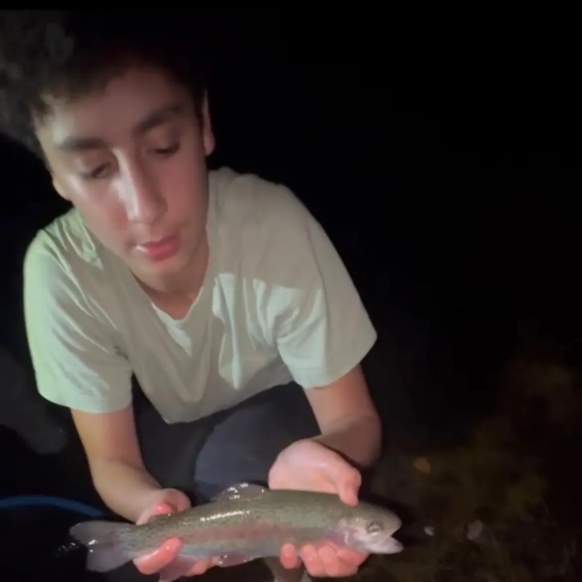 Rainbow trout caught on Fishbrain