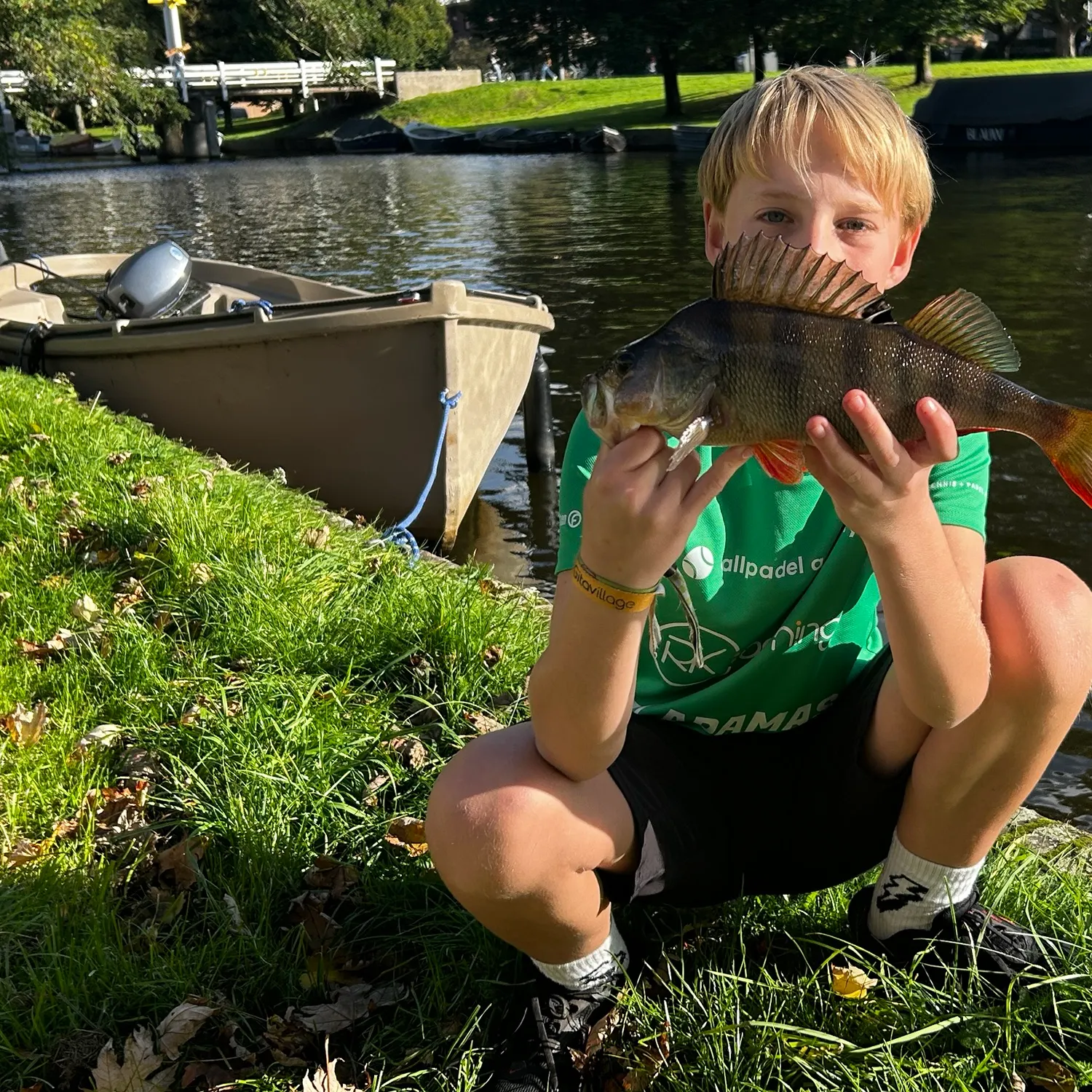 European perch caught on Fishbrain