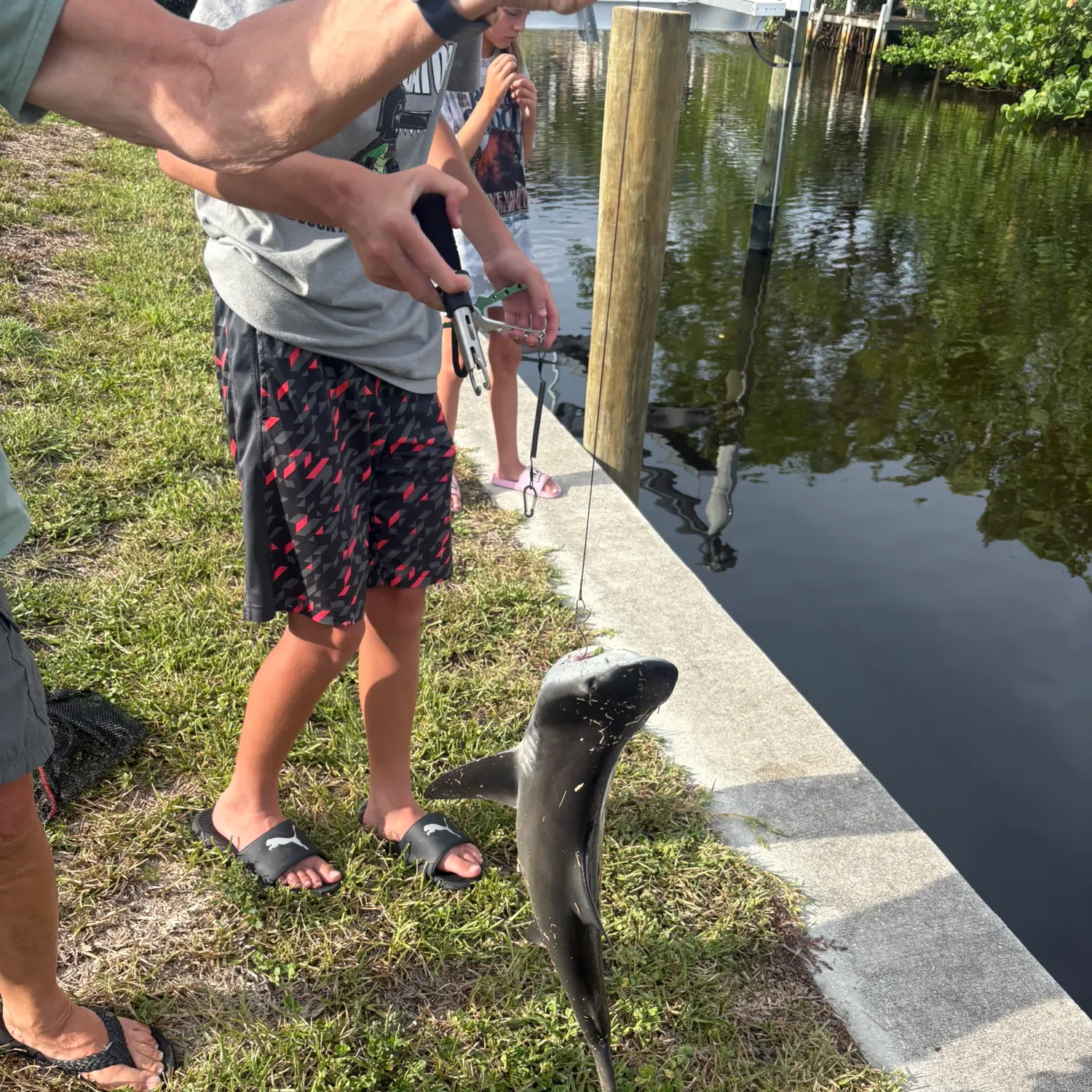 catch