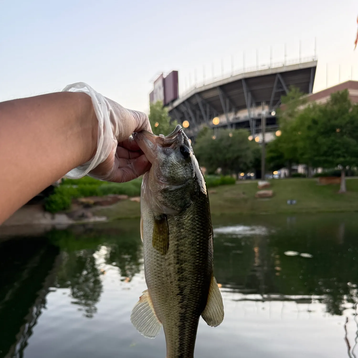 catch