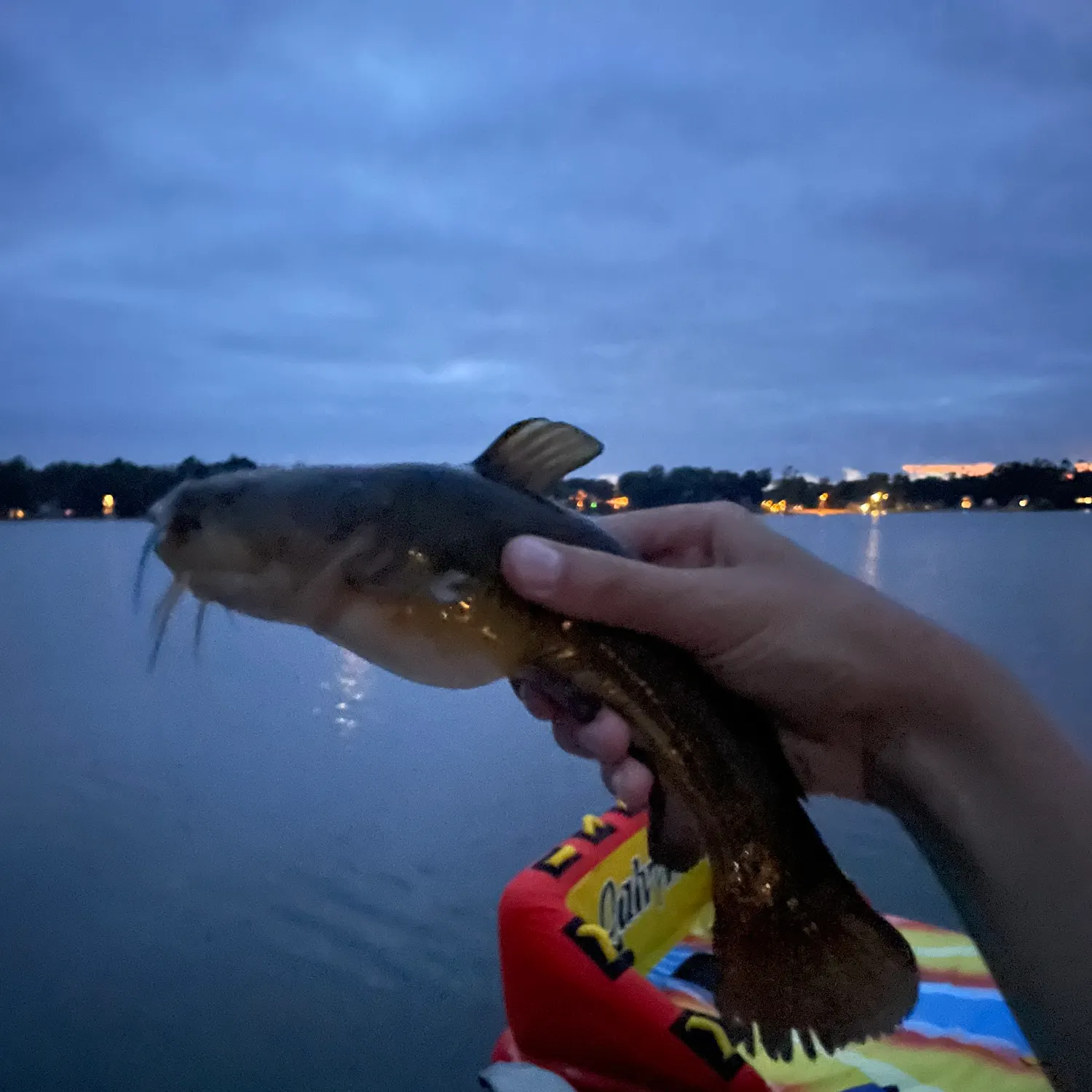 Fish caught on Fishbrain