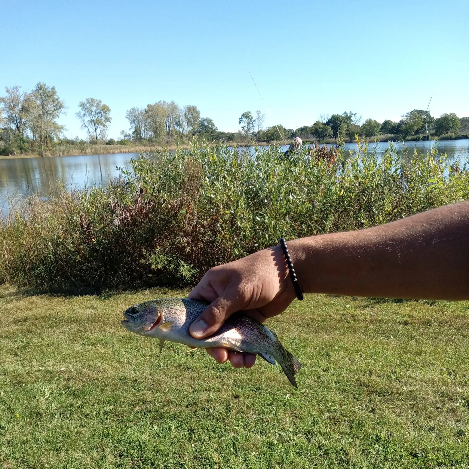 Rainbow trout caught on Fishbrain