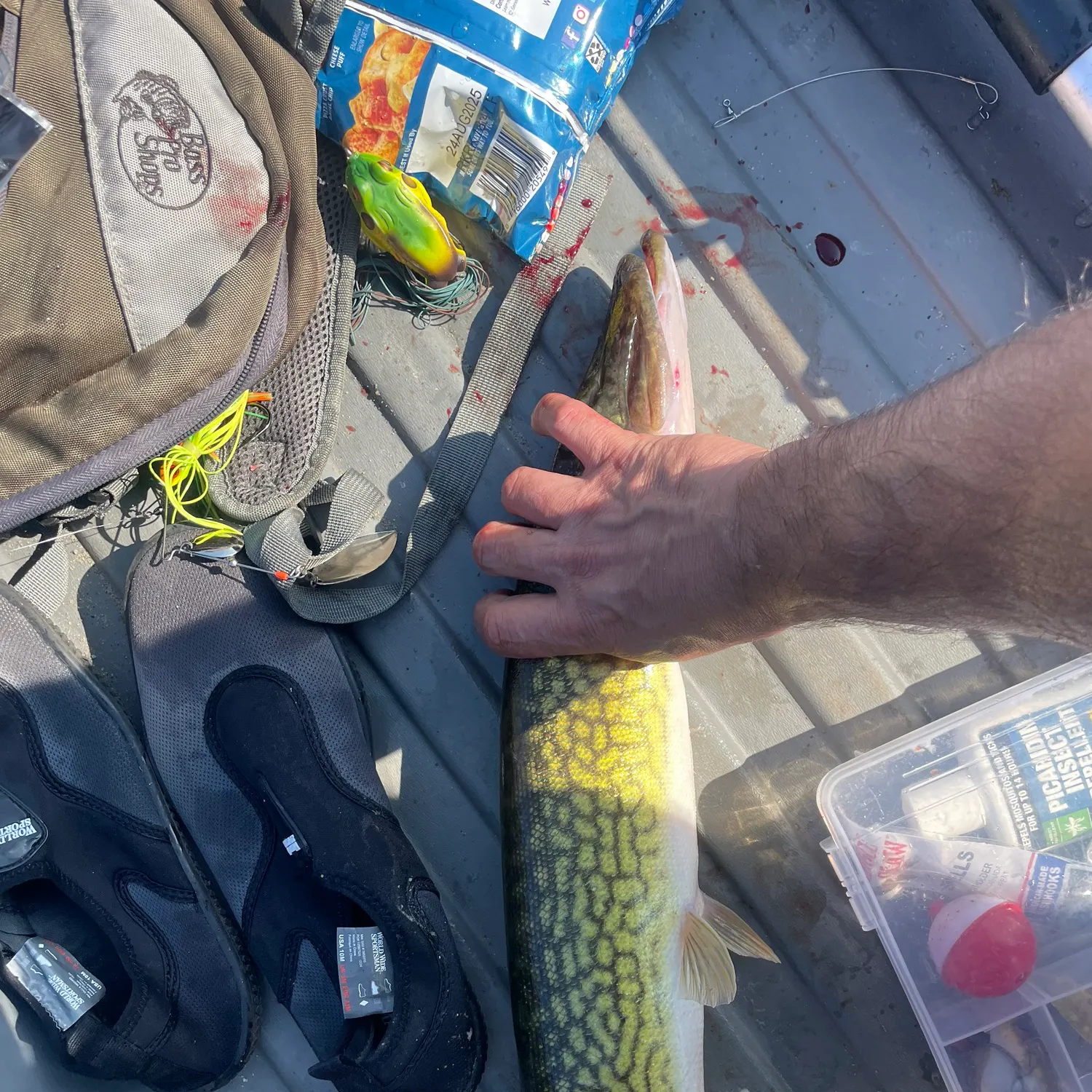 catch