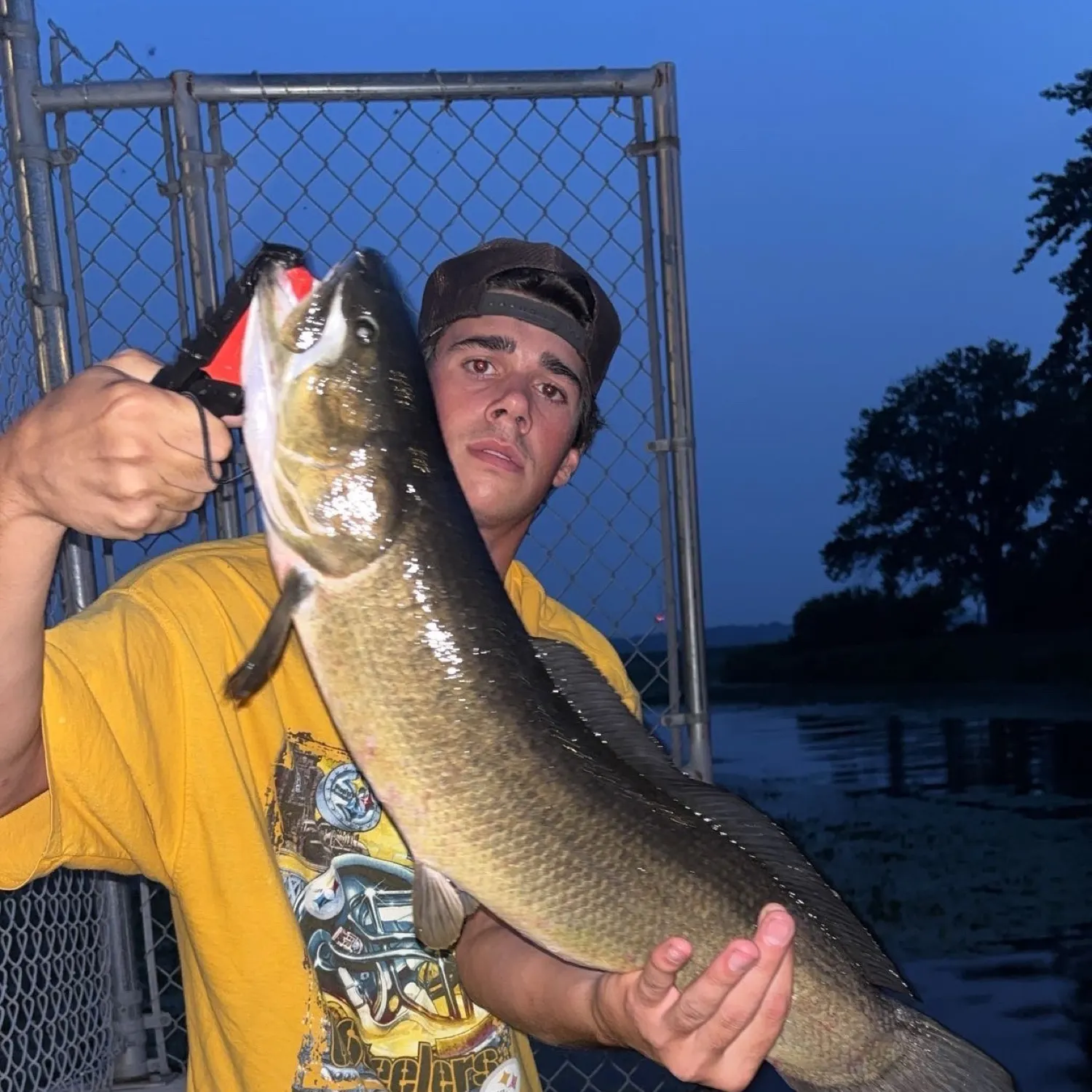 catch