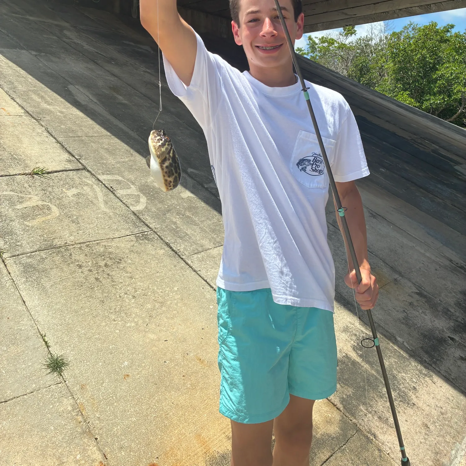 The most recent Panther puffer catches on Fishbrain