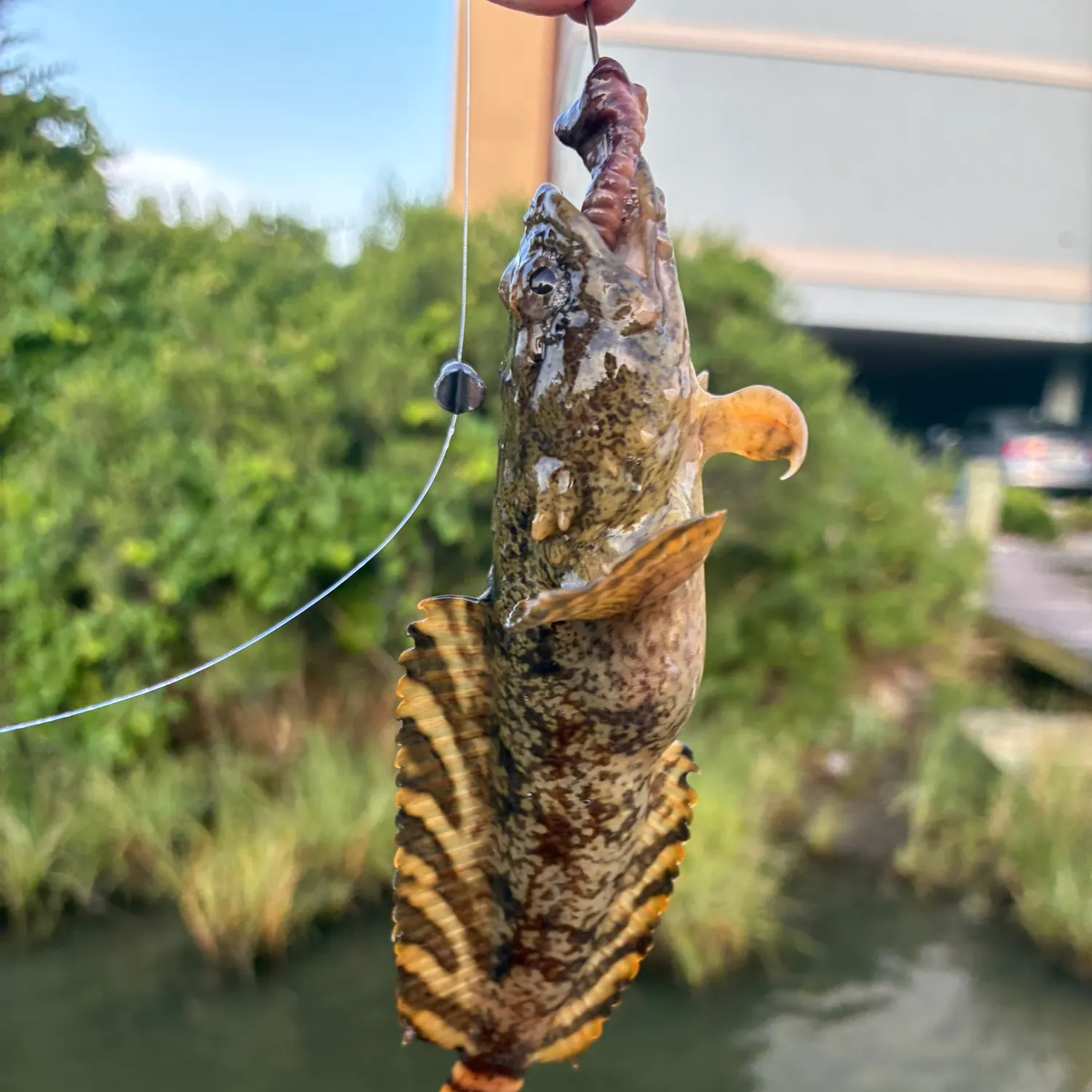 catch