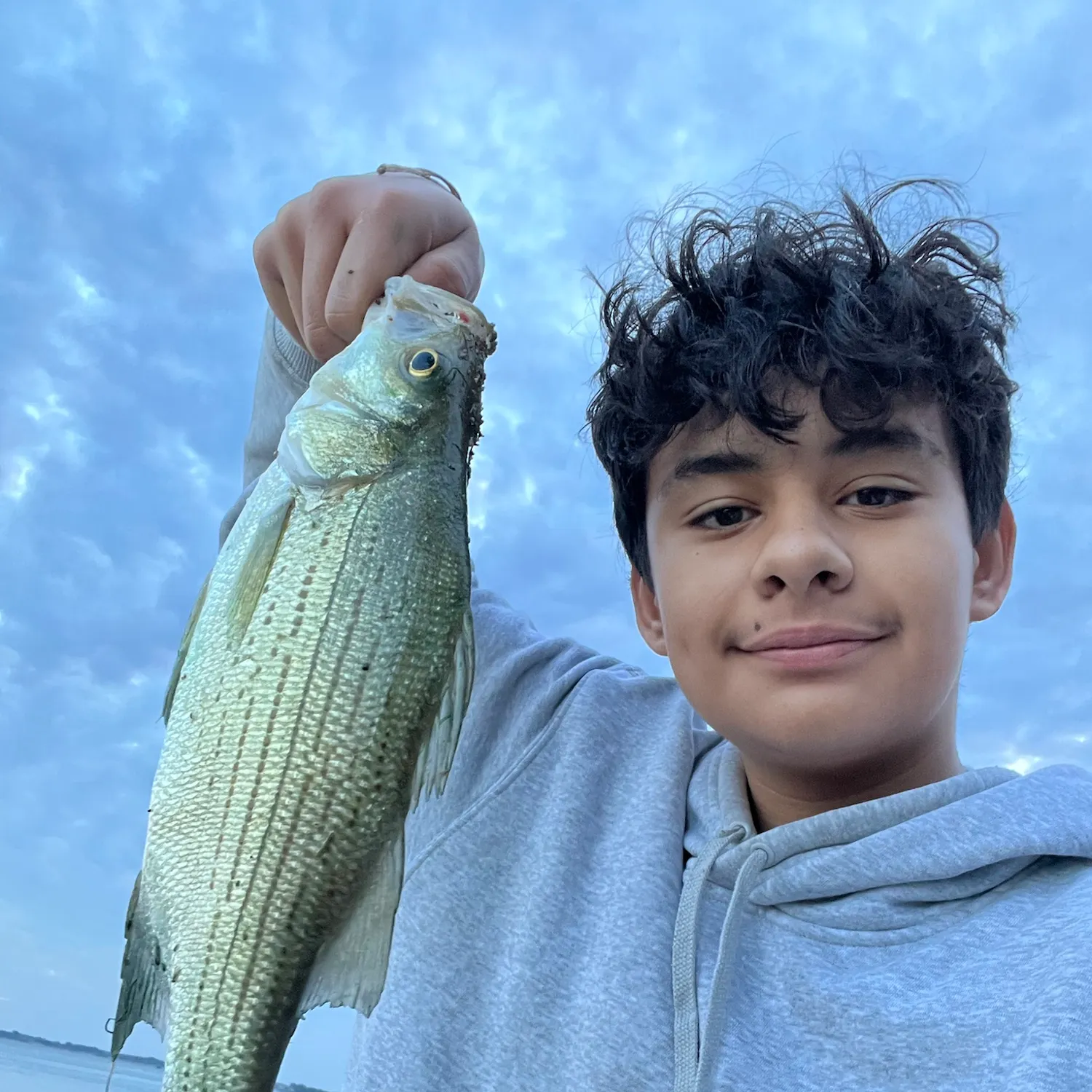 White bass caught on Fishbrain