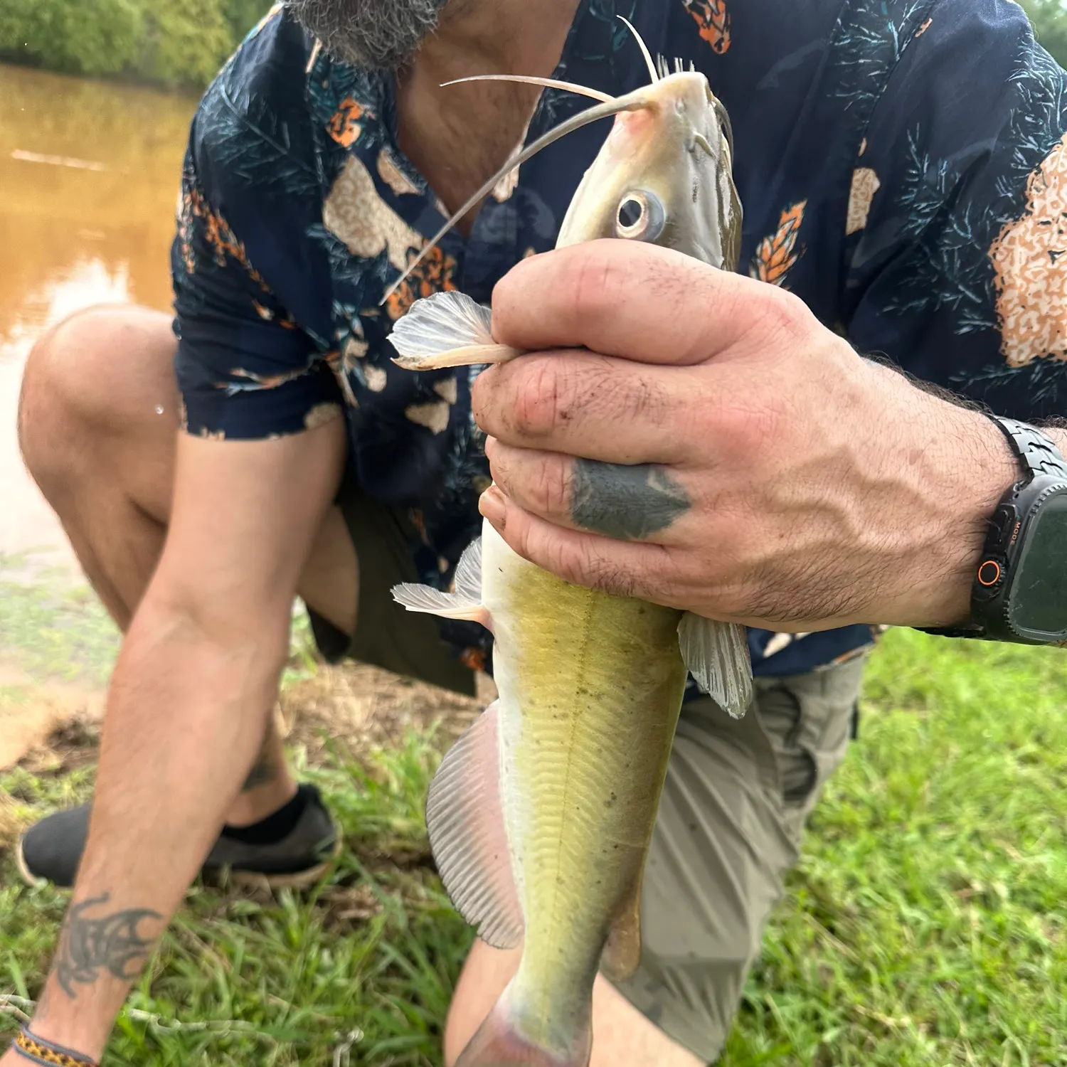 catch