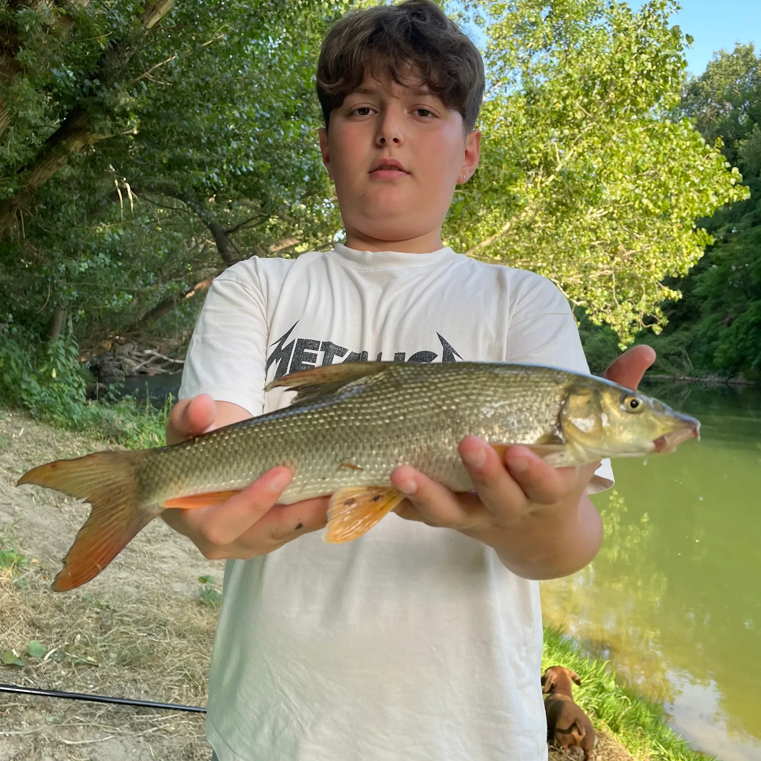 The most recent Common barbel catches on Fishbrain