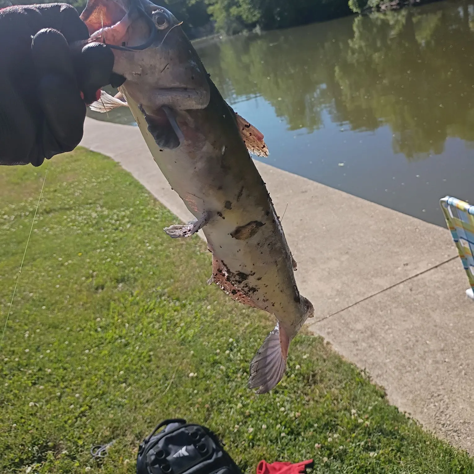 catch