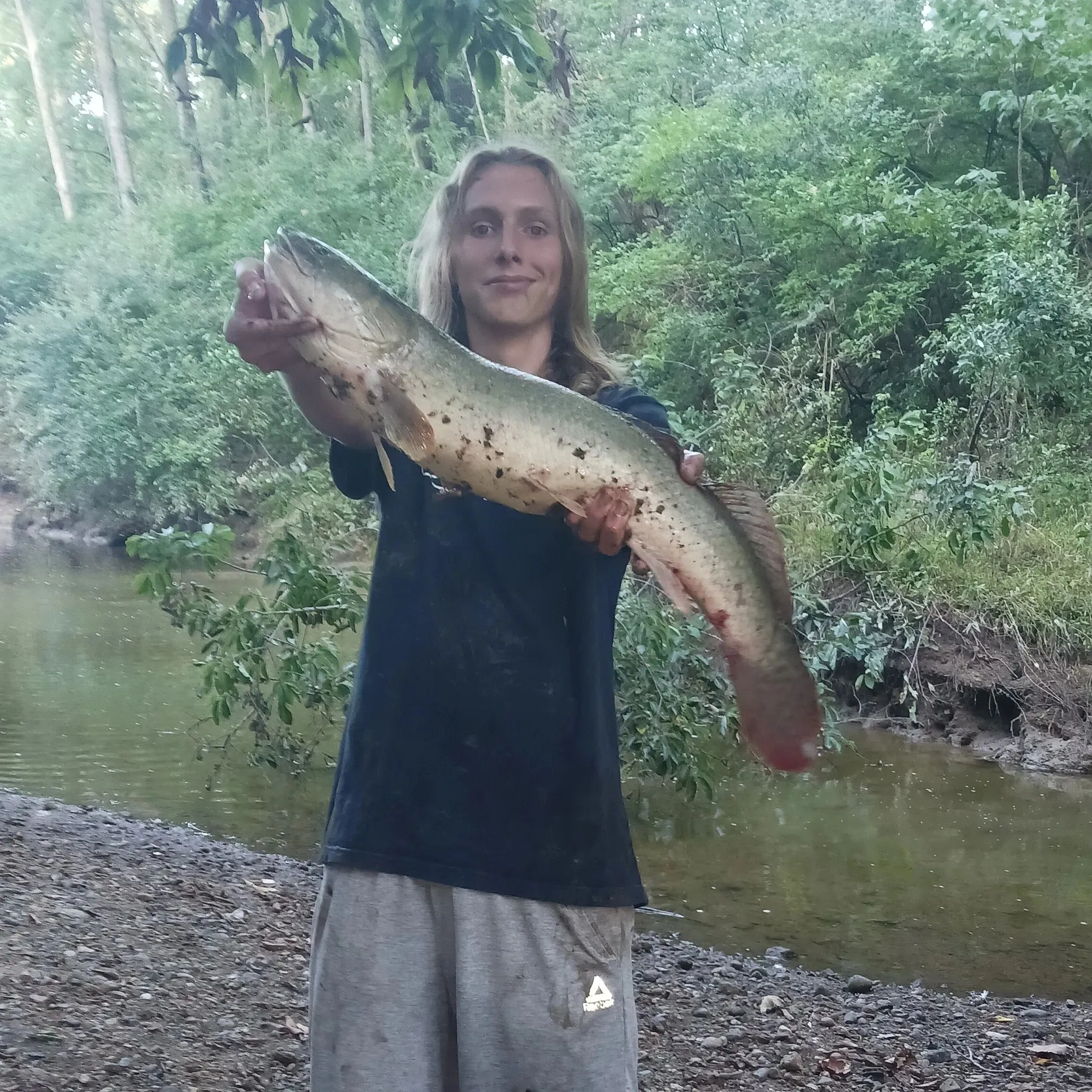 The most recent Ruddy bowfin catches on Fishbrain