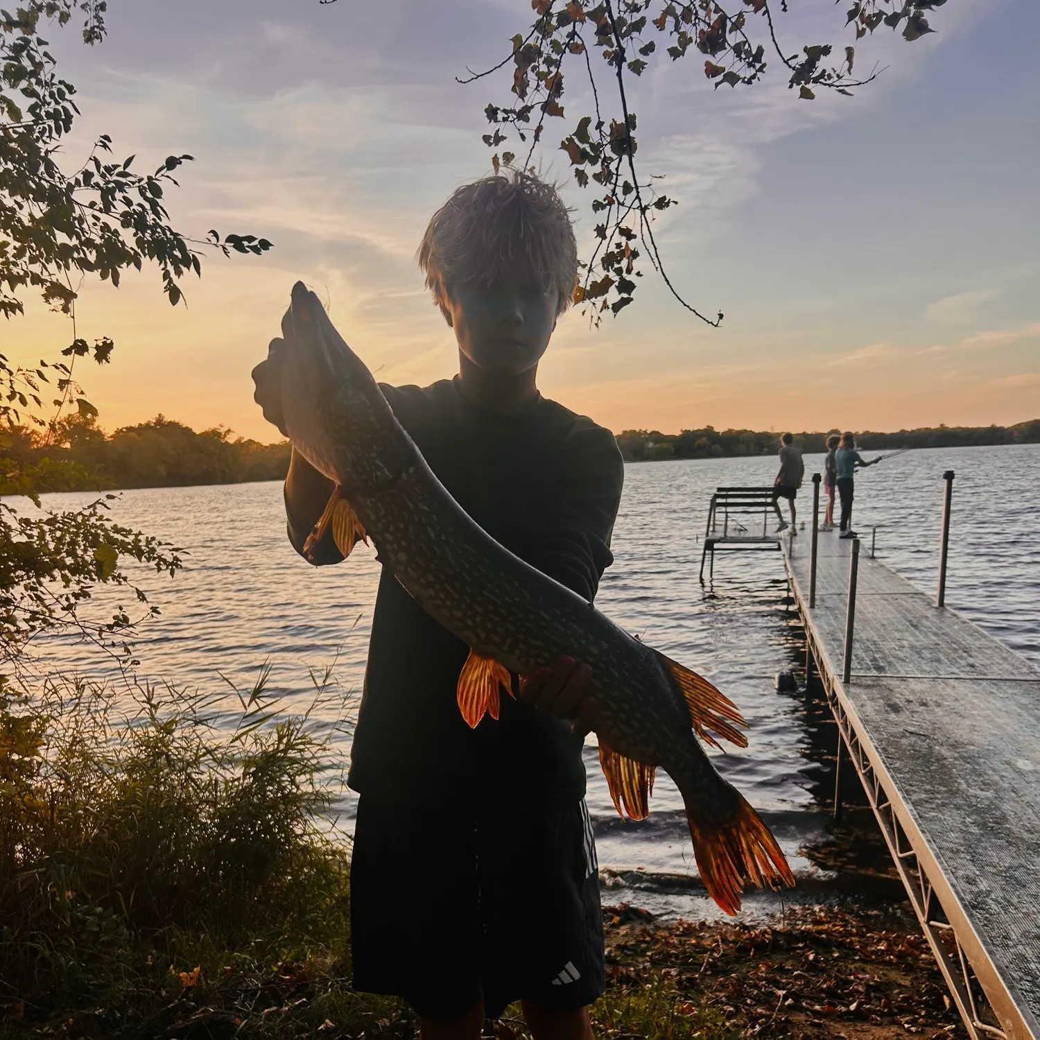 Northern pike caught on Fishbrain