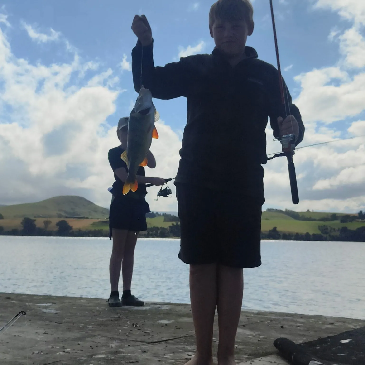 European perch caught on Fishbrain