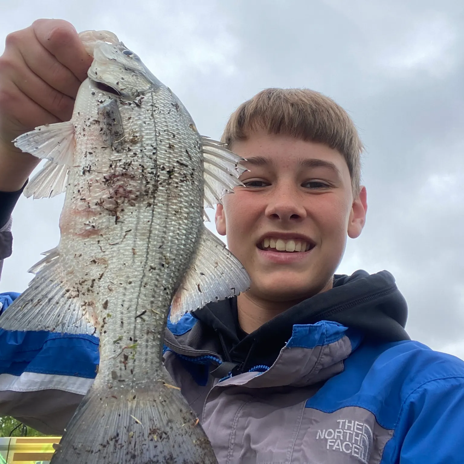 The most recent White bass catches on Fishbrain