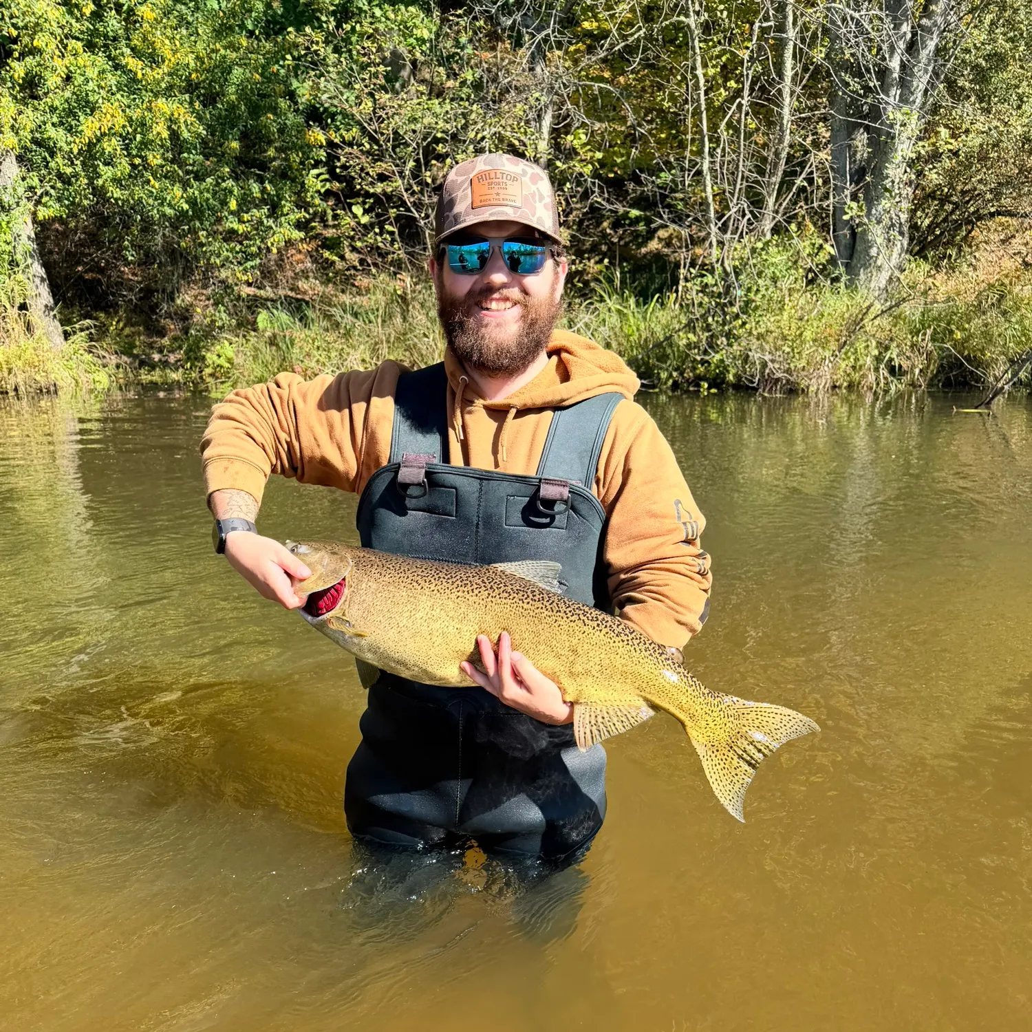 The most recent Chinook salmon catches on Fishbrain