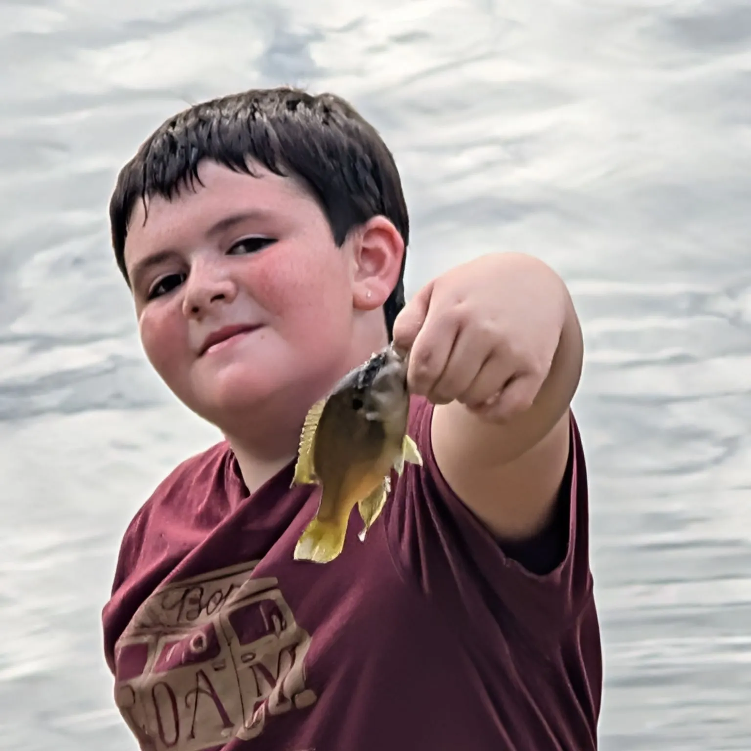 Greengill hybrid caught on Fishbrain