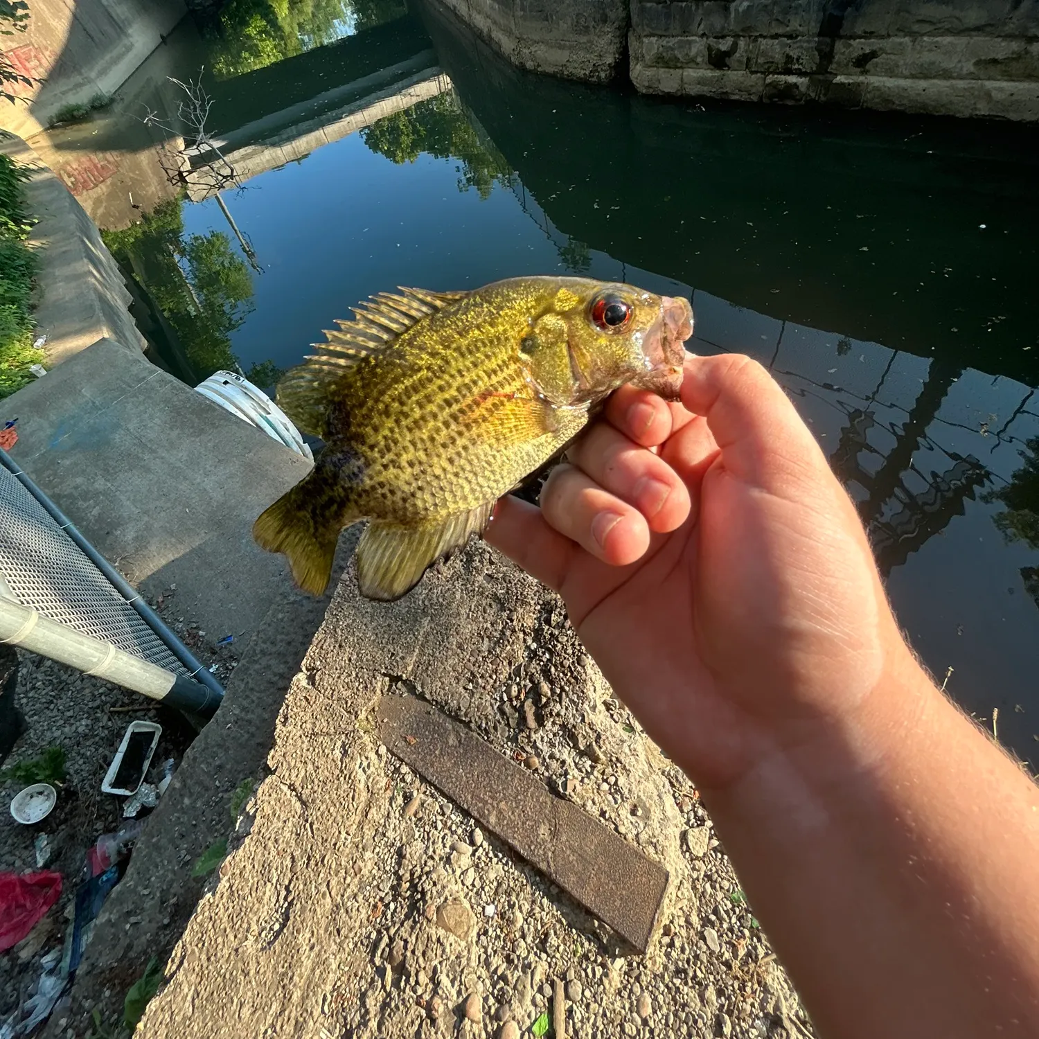 catch