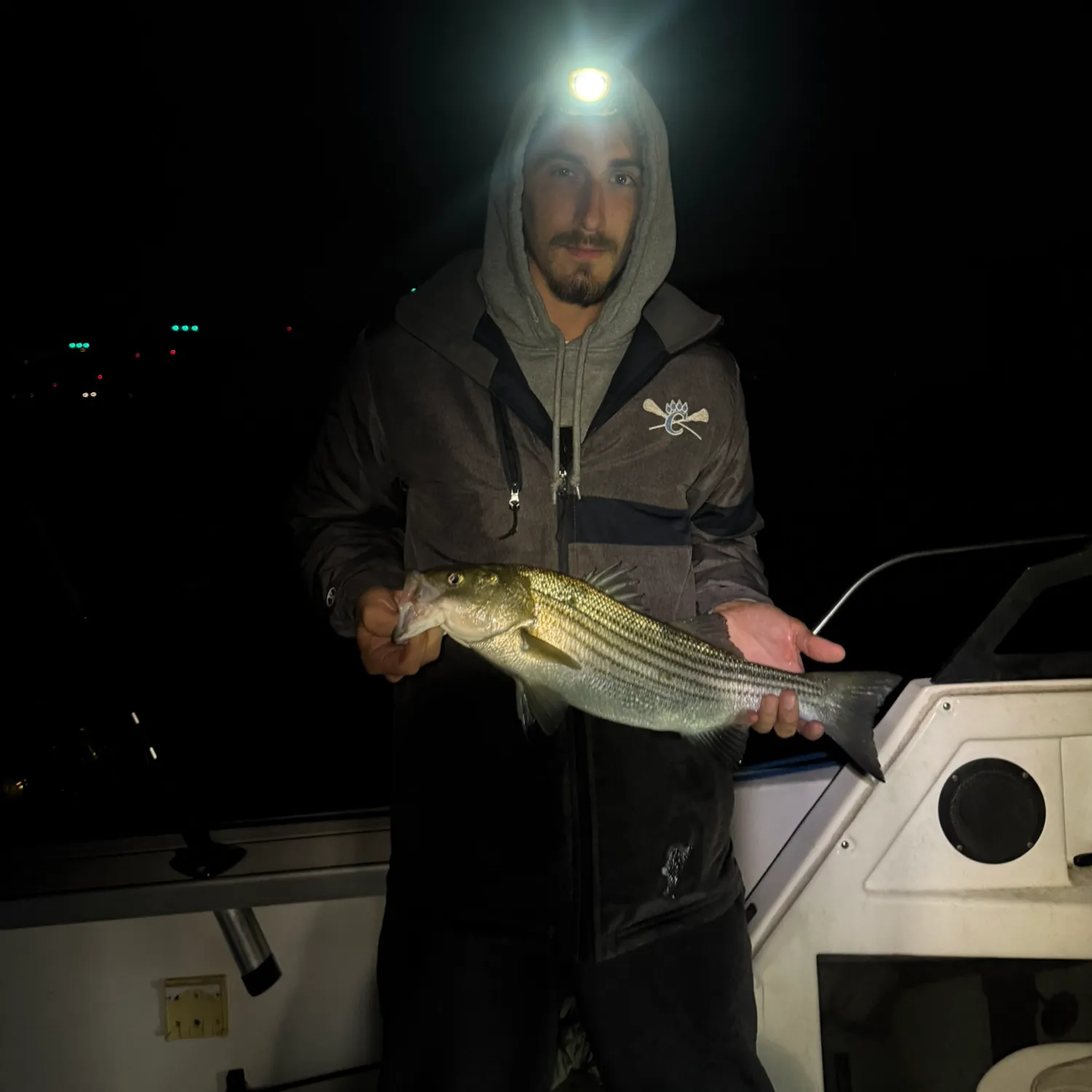 Striped bass caught on Fishbrain