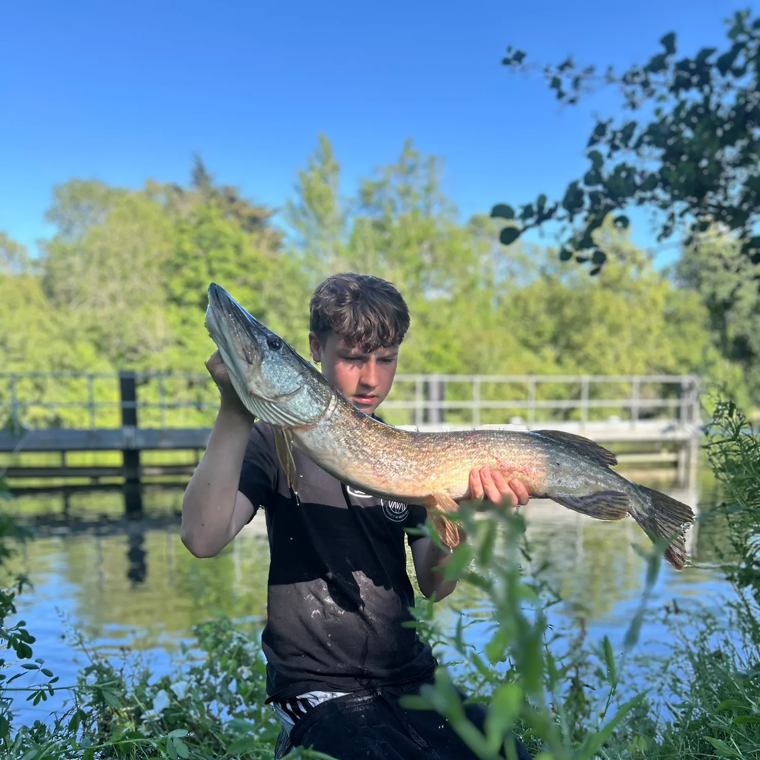 catch