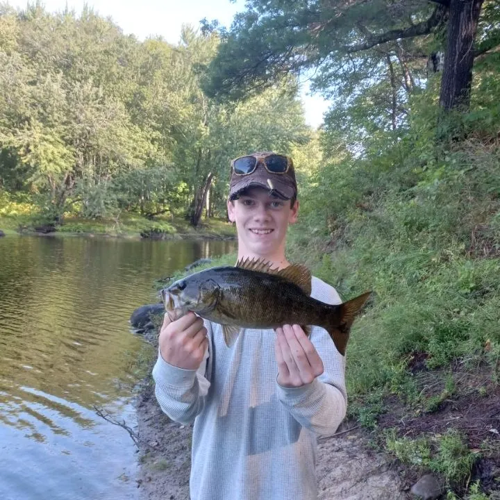Smallmouth bass caught on Fishbrain