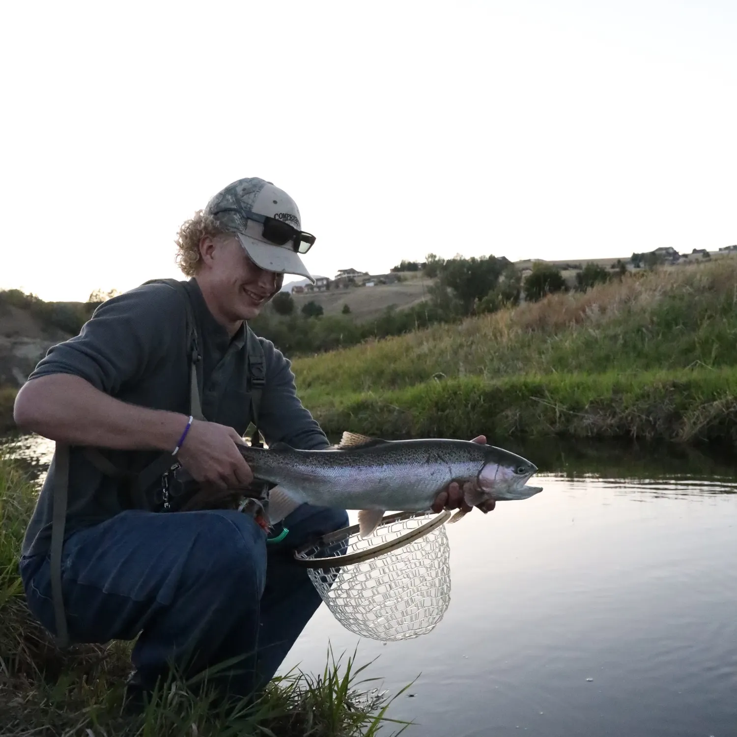 Rainbow trout caught on Fishbrain