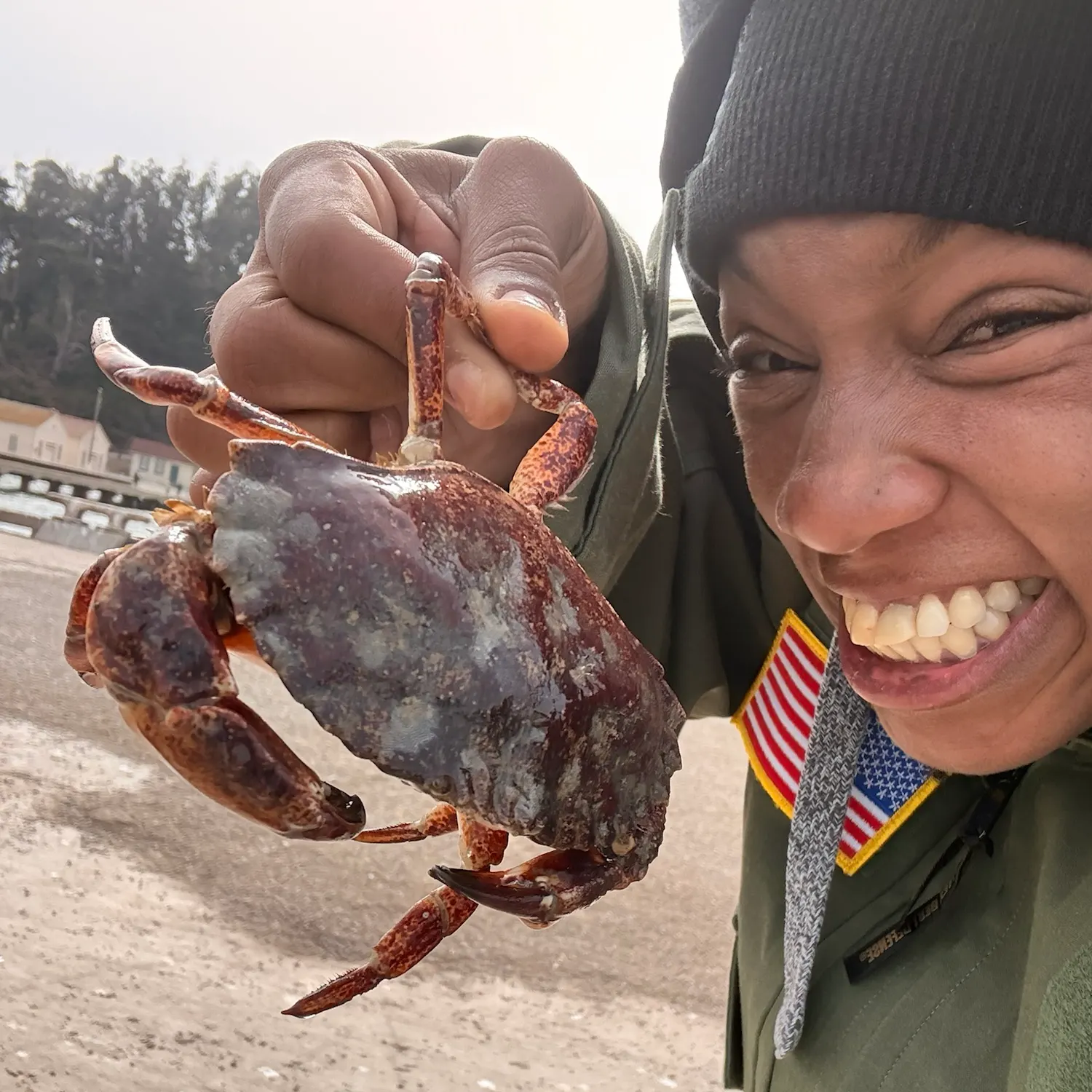 Pacific rock crab caught on Fishbrain