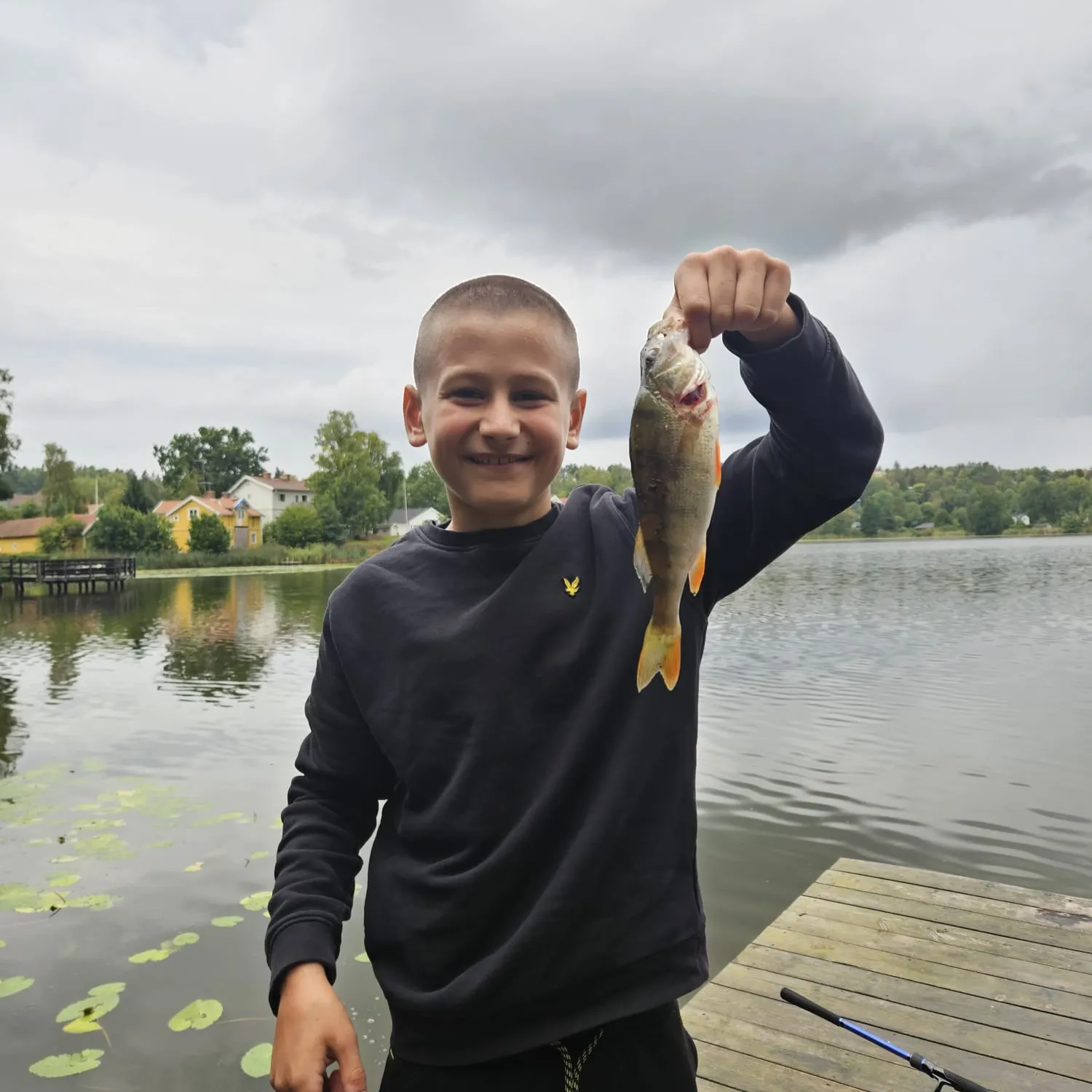 European perch caught on Fishbrain