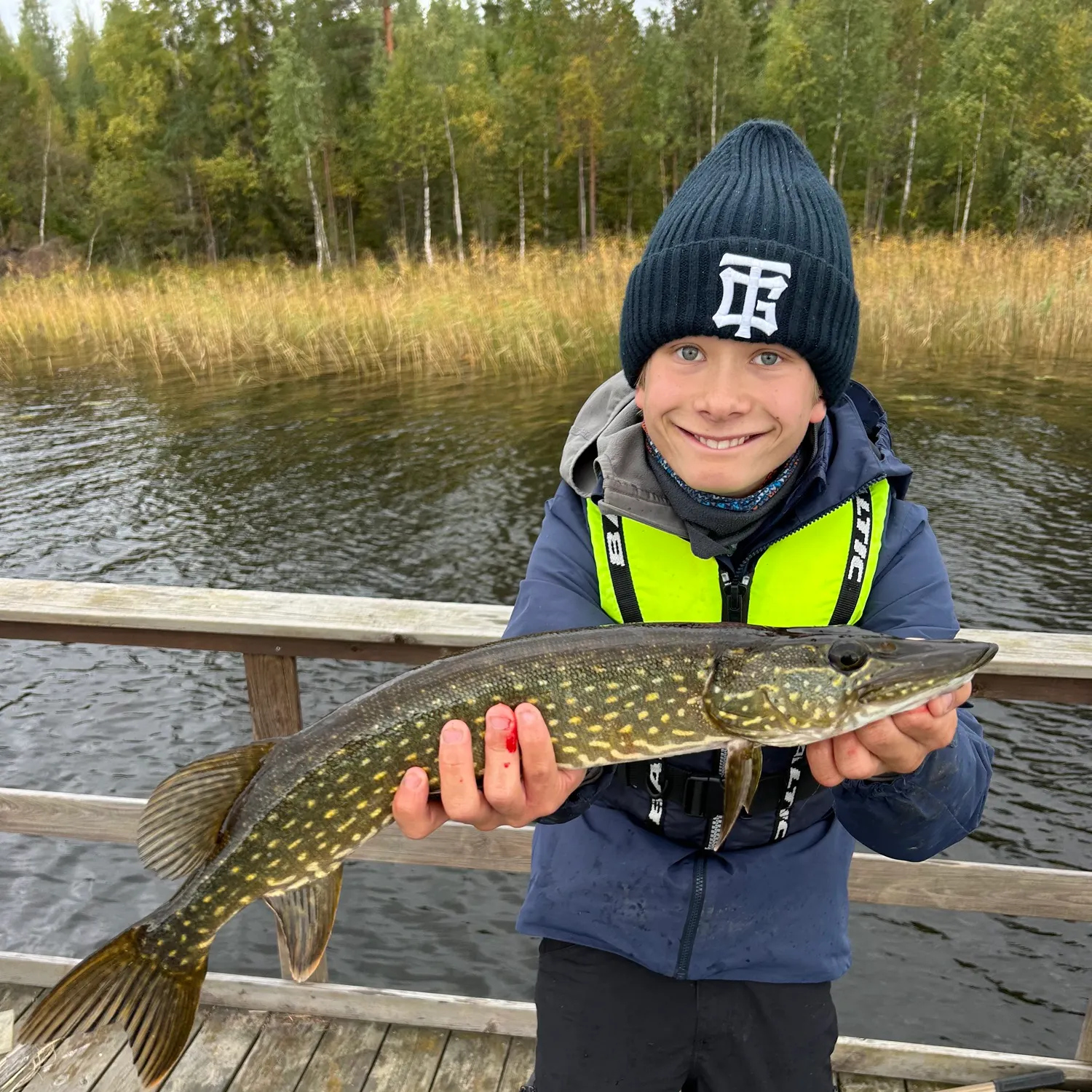 Northern pike caught on Fishbrain