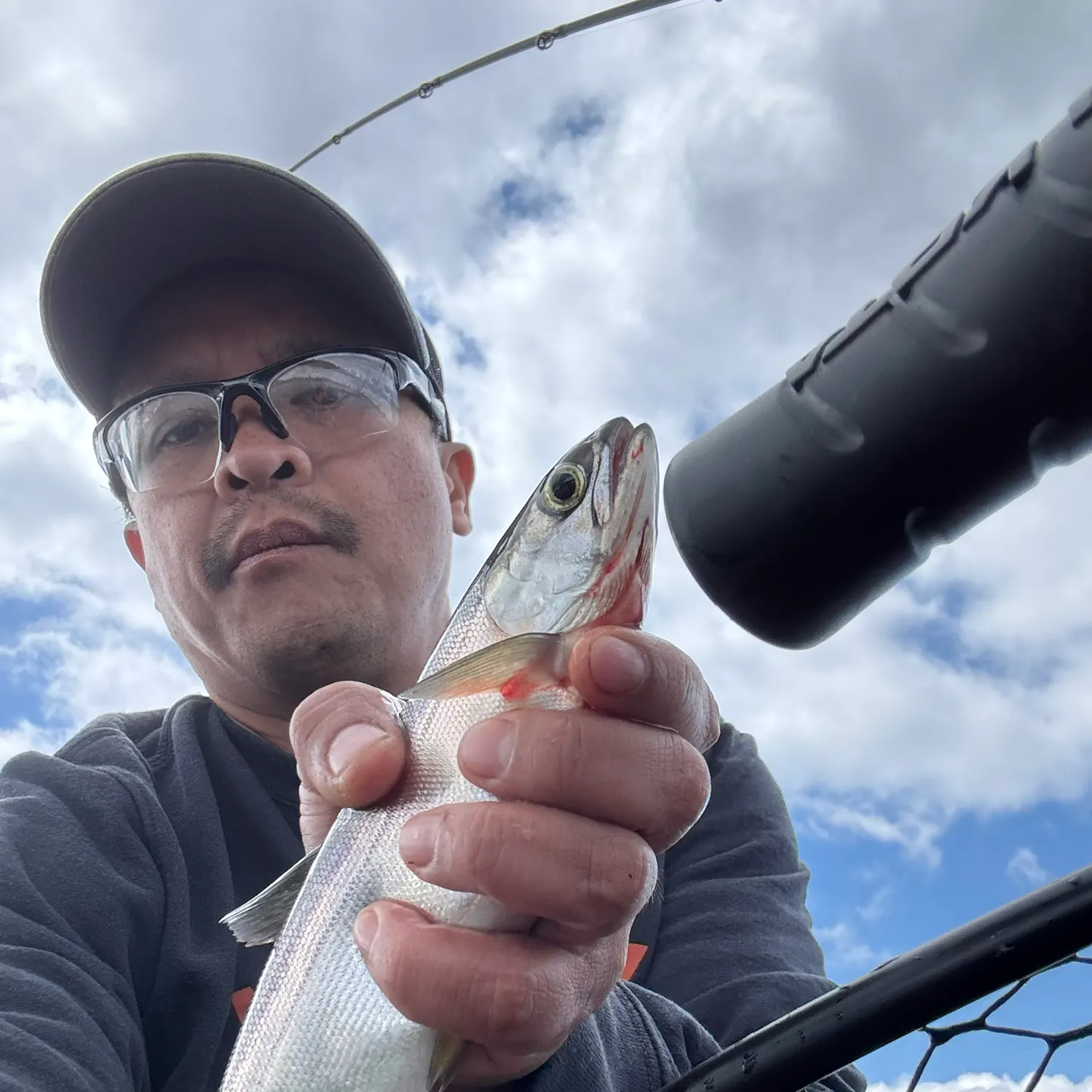 The most recent Kokanee salmon catches on Fishbrain