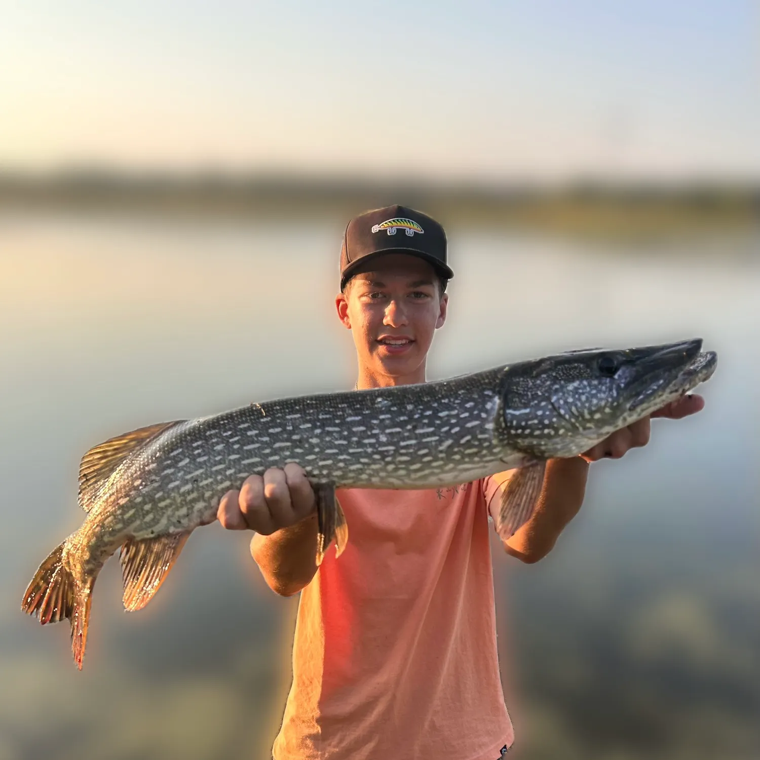 Northern pike caught on Fishbrain