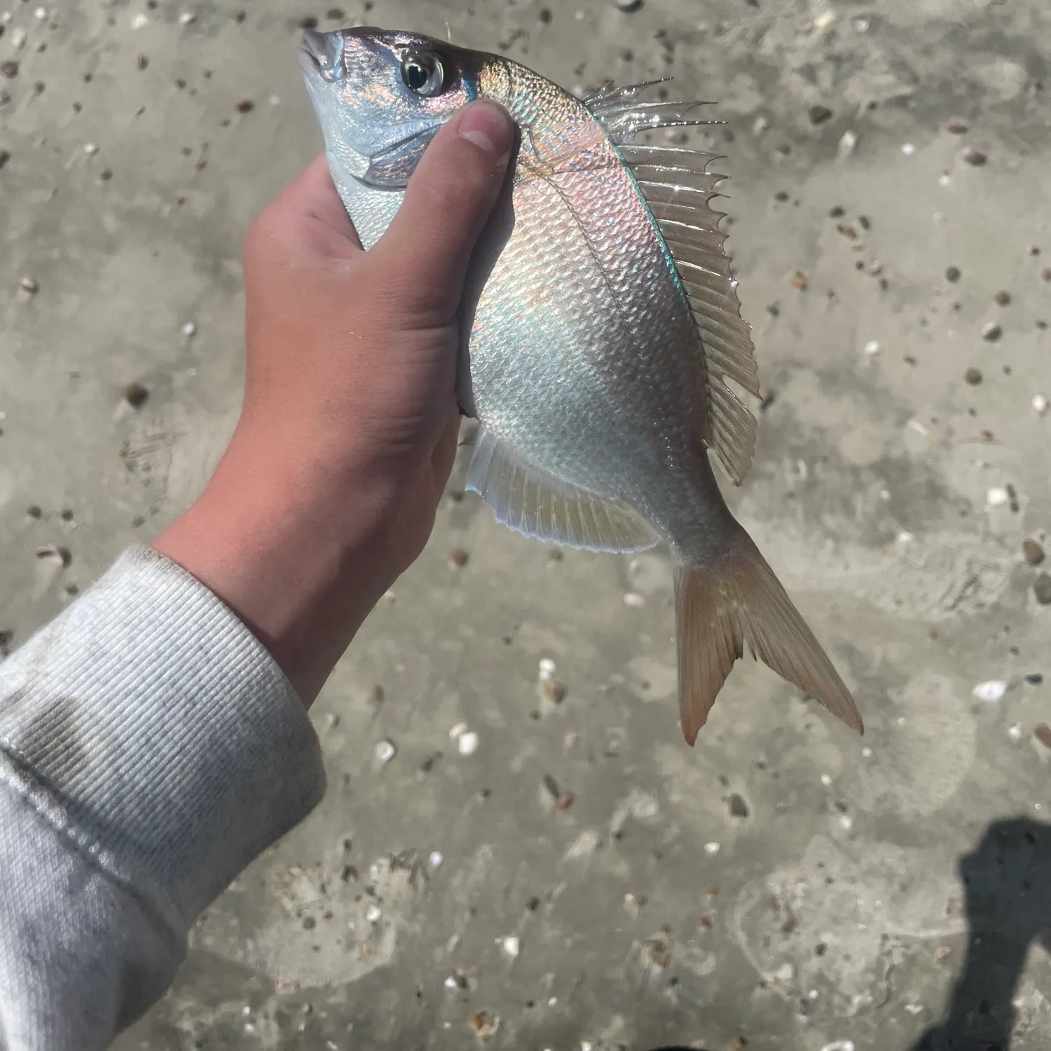 most liked catch image