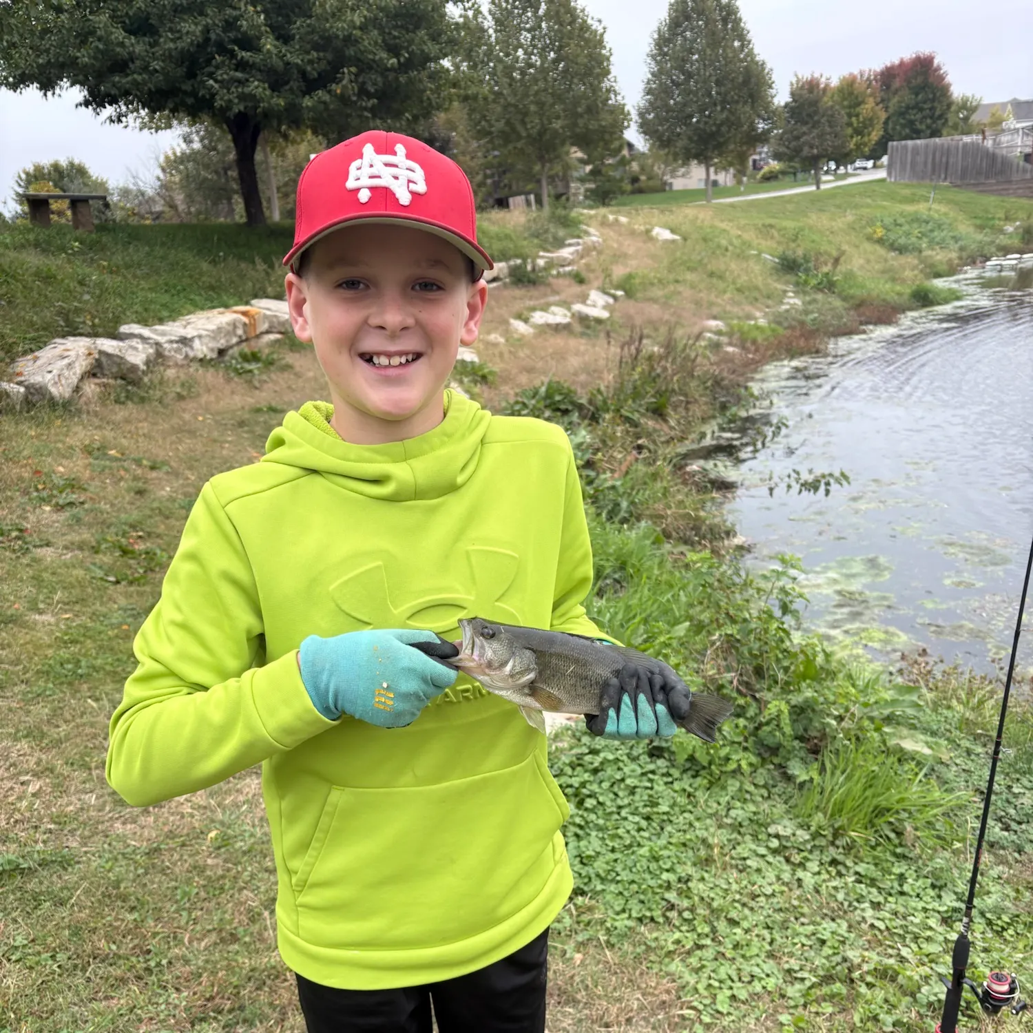 Largemouth bass caught on Fishbrain