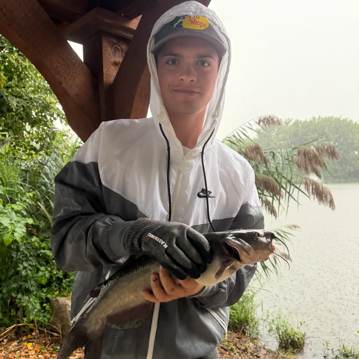 Channel catfish caught on Fishbrain