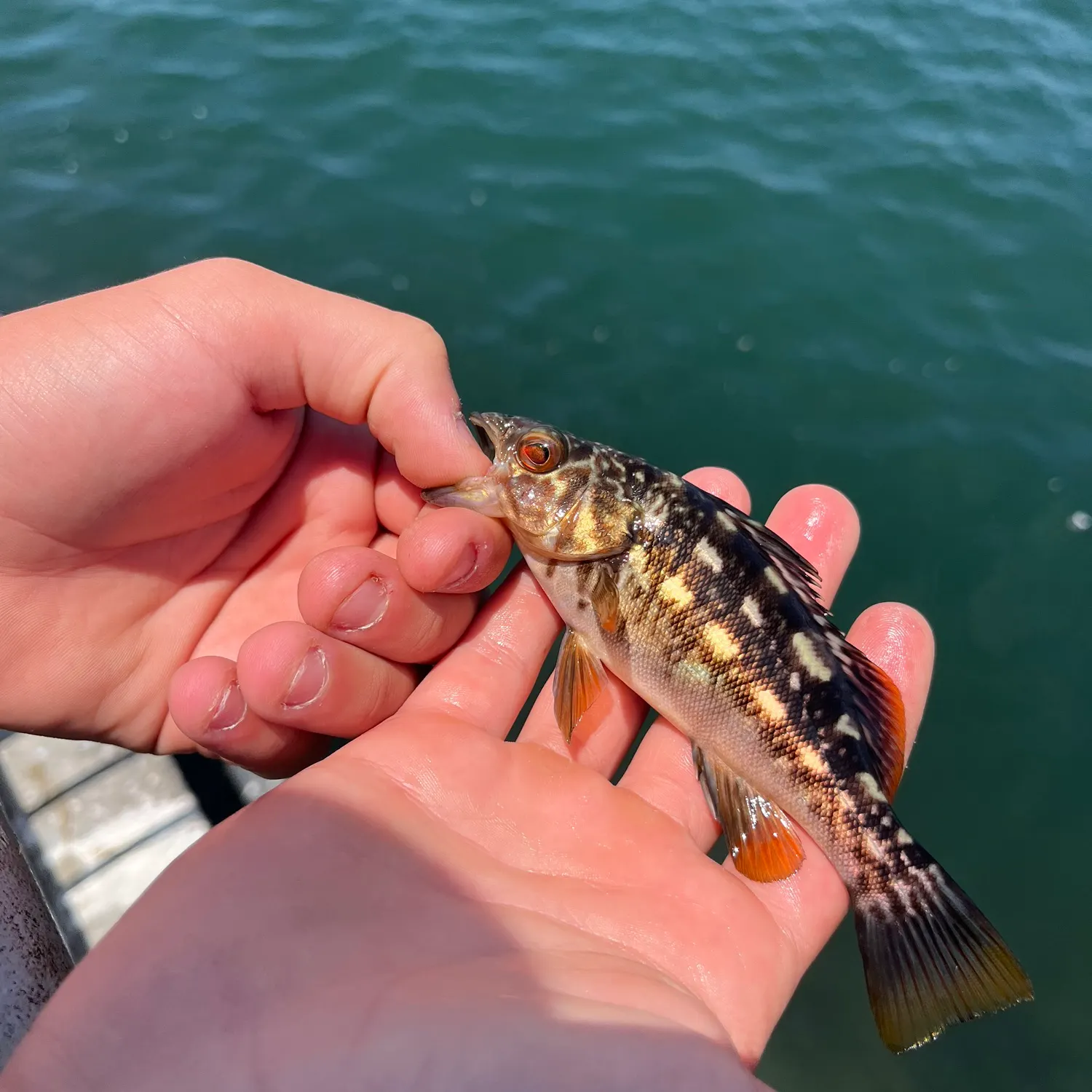 catch