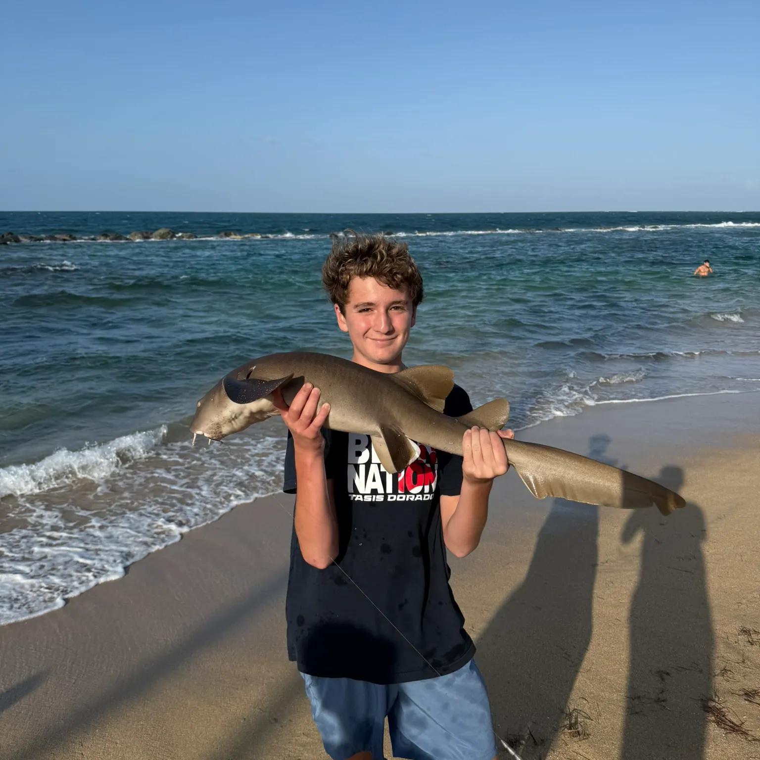 The most recent Nurse shark catches on Fishbrain