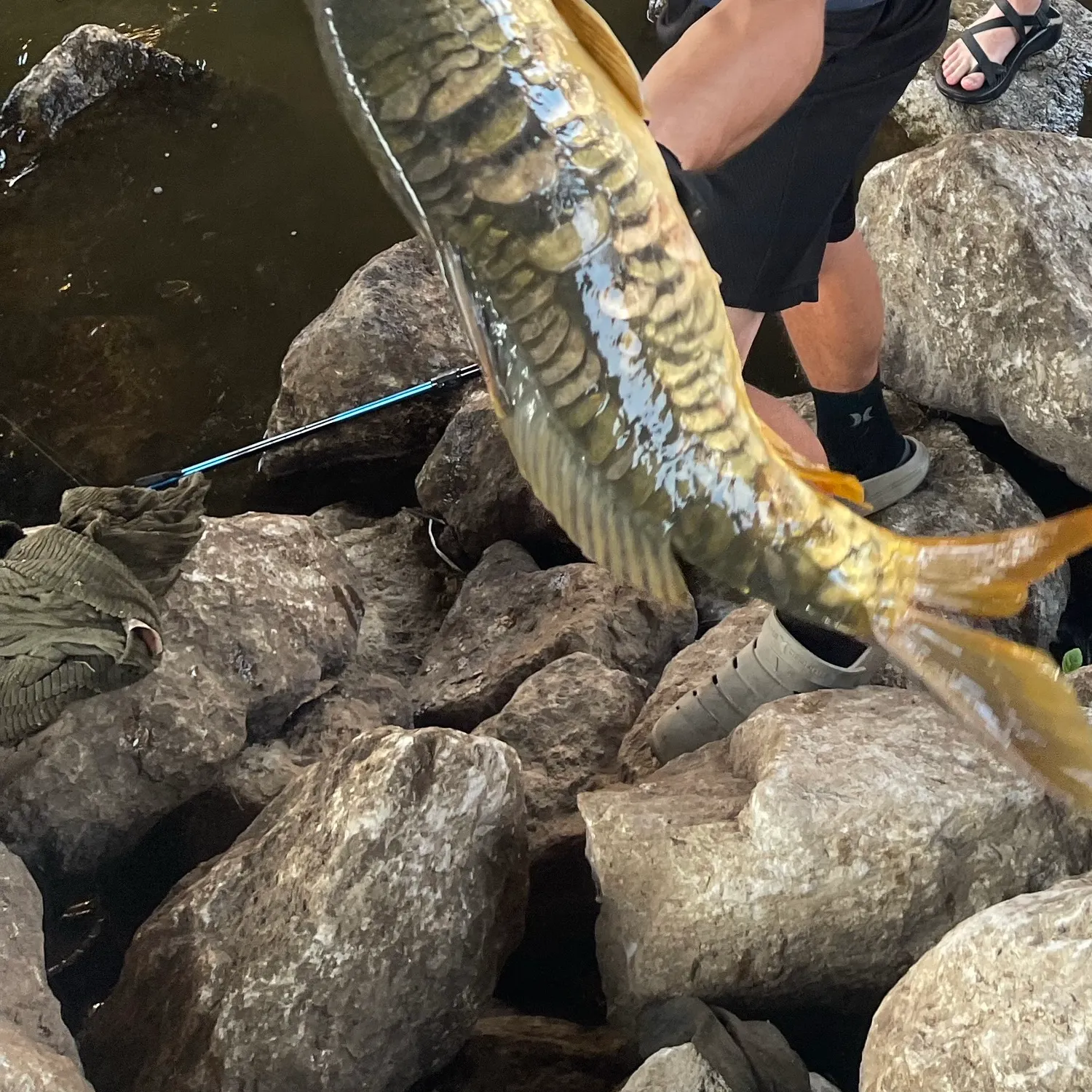 catch