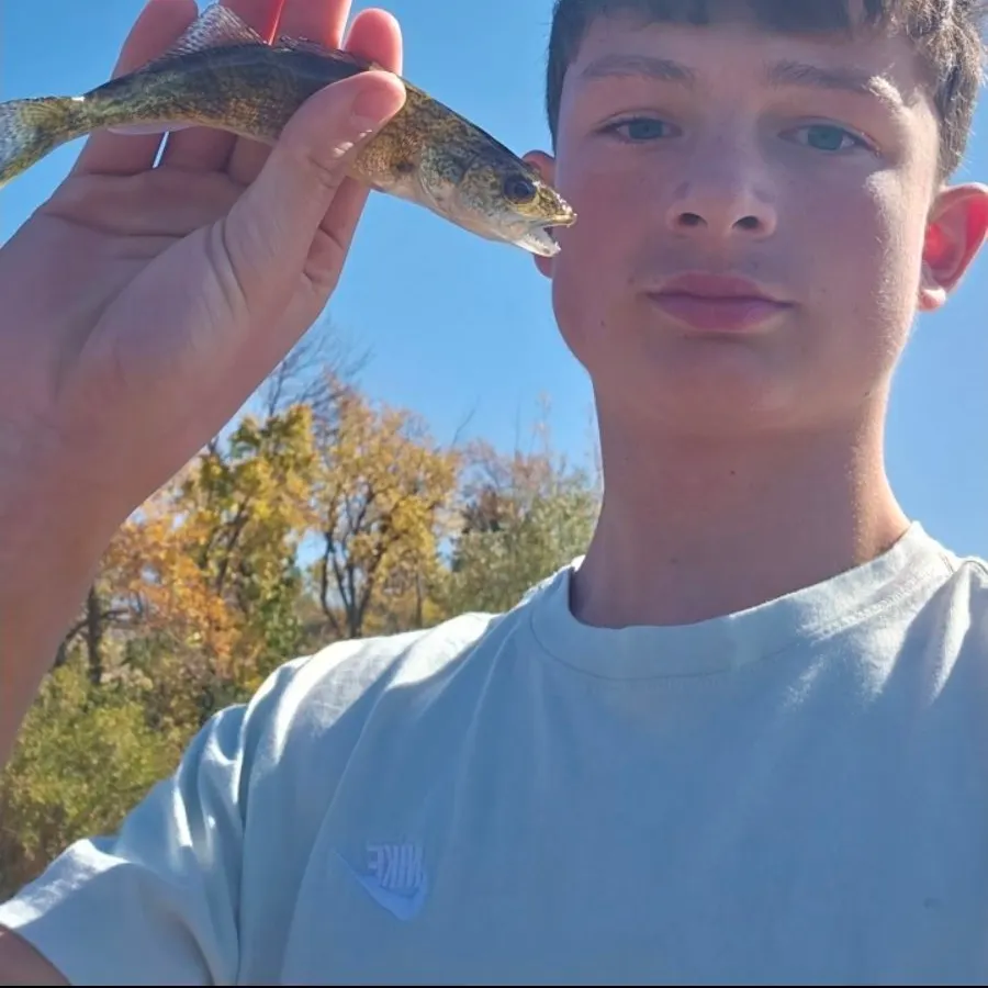 Walleye caught on Fishbrain