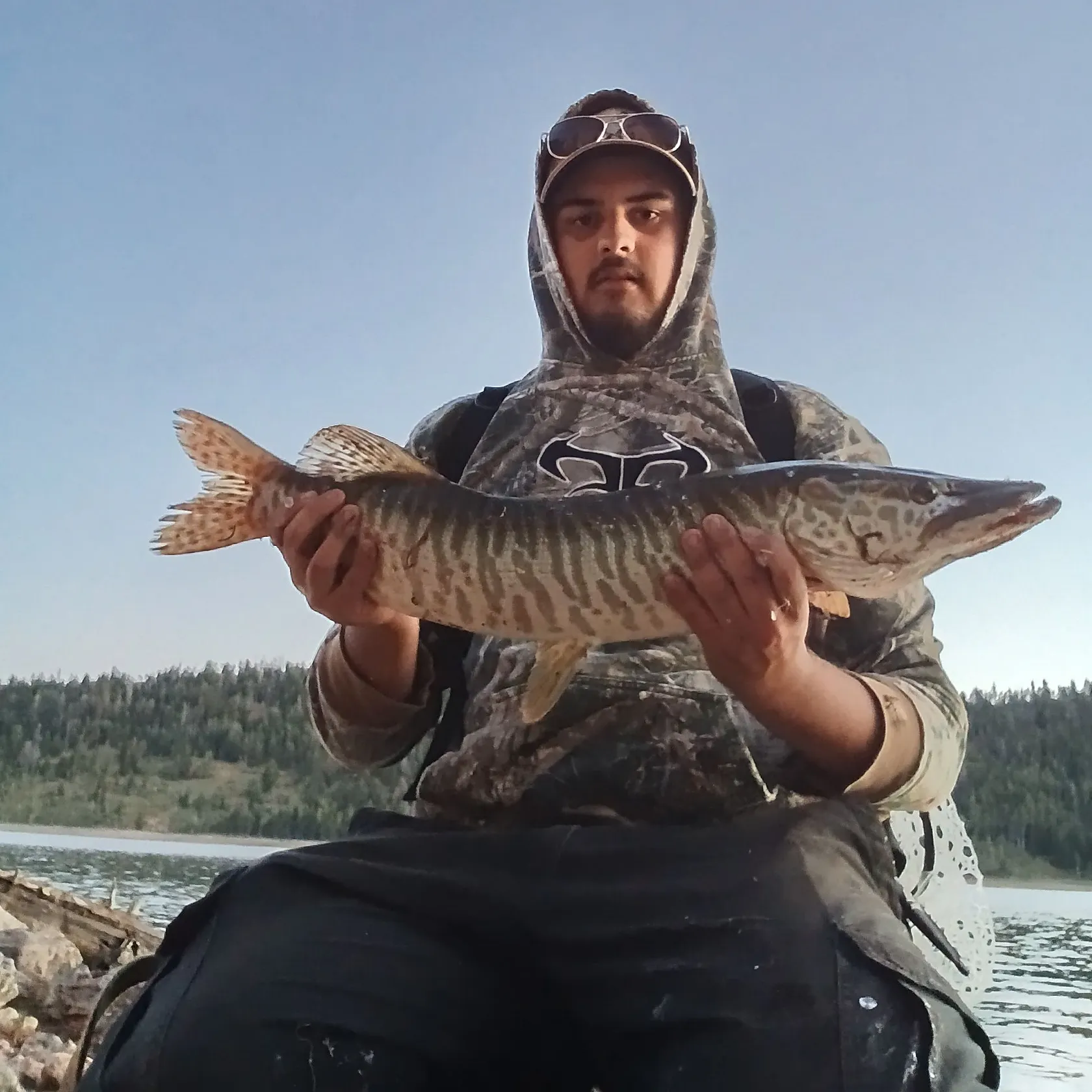 The most recent Tiger muskie catches on Fishbrain