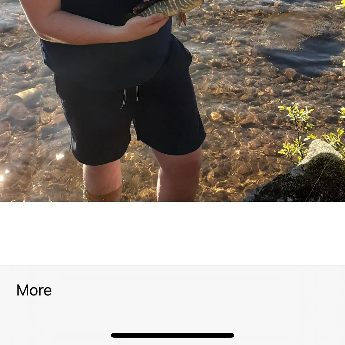 Grass pickerel caught on Fishbrain