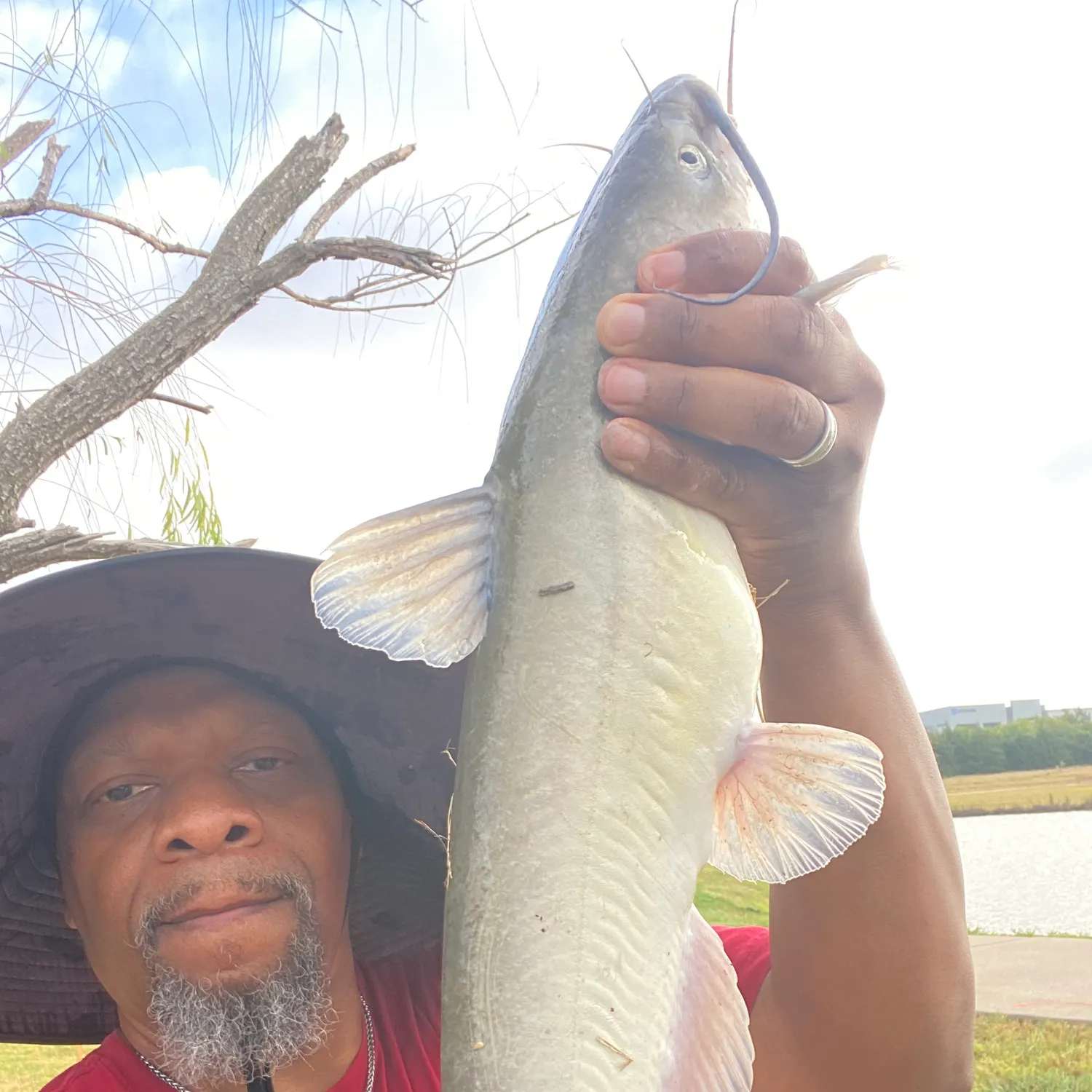 Channel catfish caught on Fishbrain