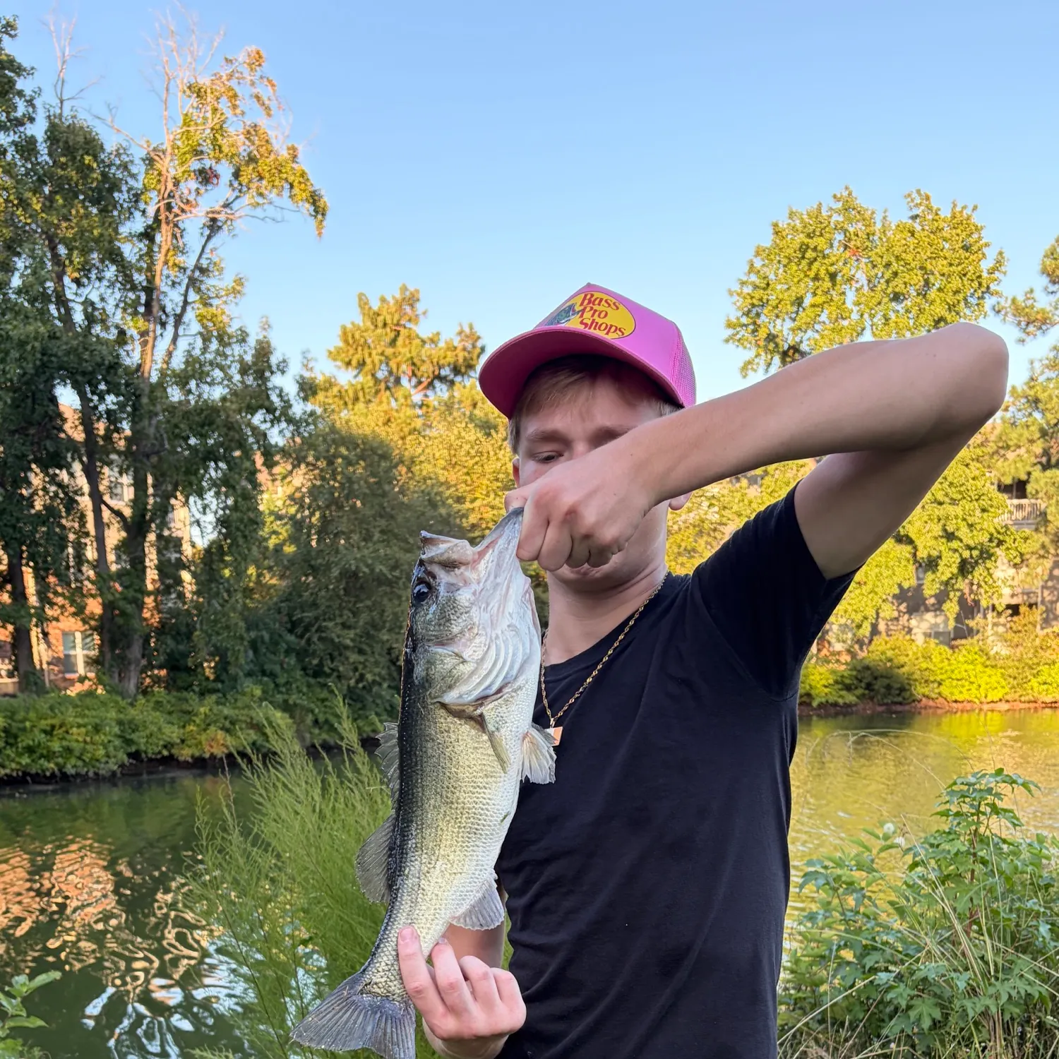 Largemouth bass caught on Fishbrain