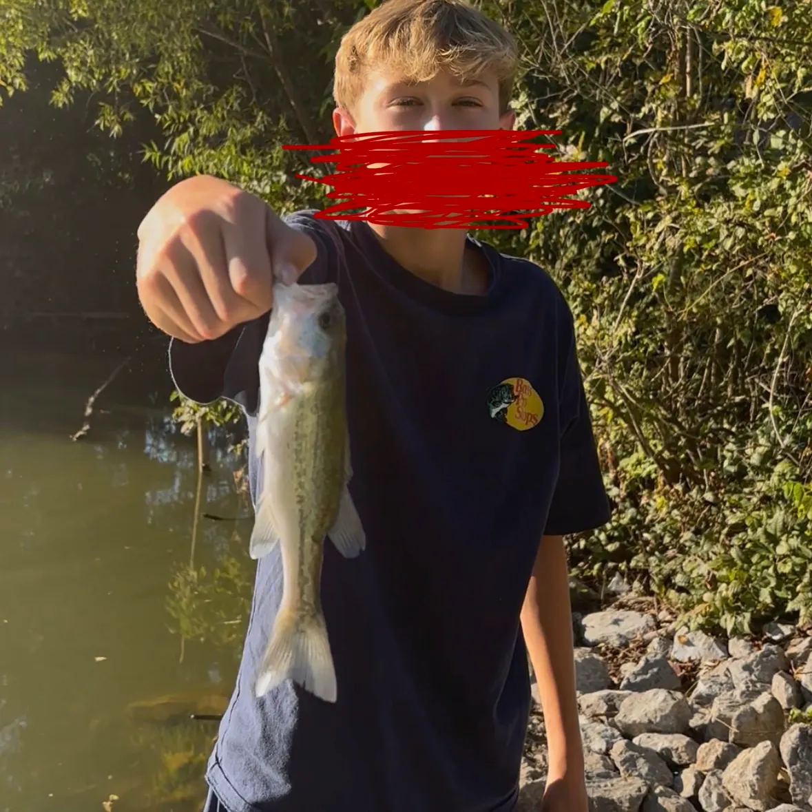 Spotted bass caught on Fishbrain