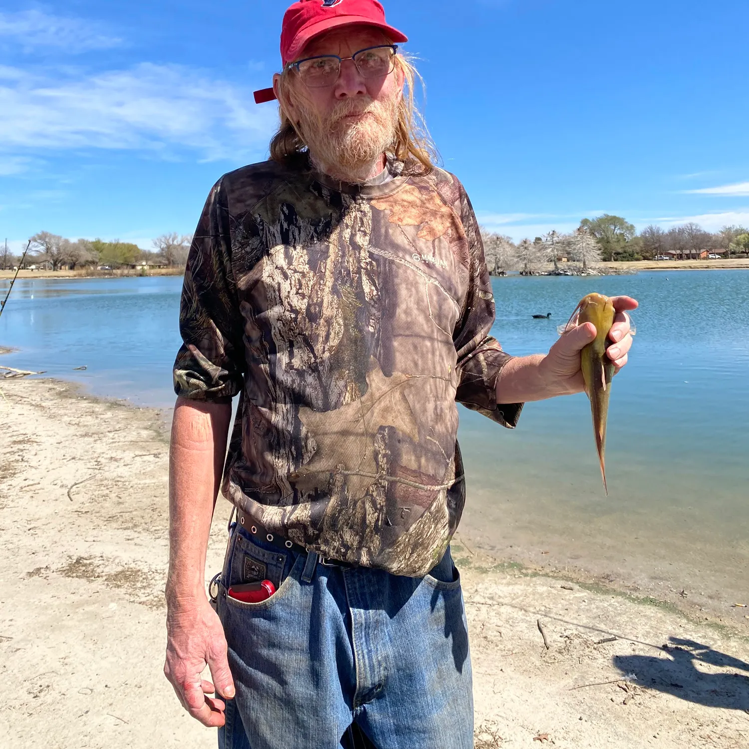 The most recent Yellow bullhead catches on Fishbrain