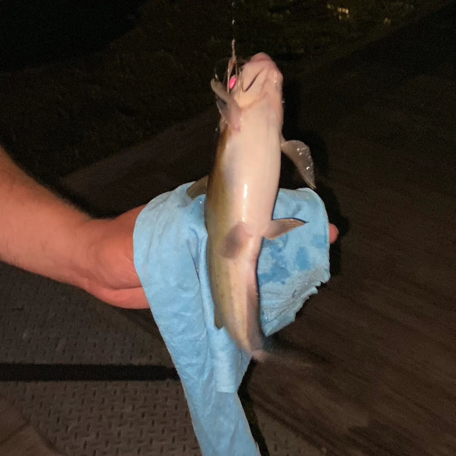 catch