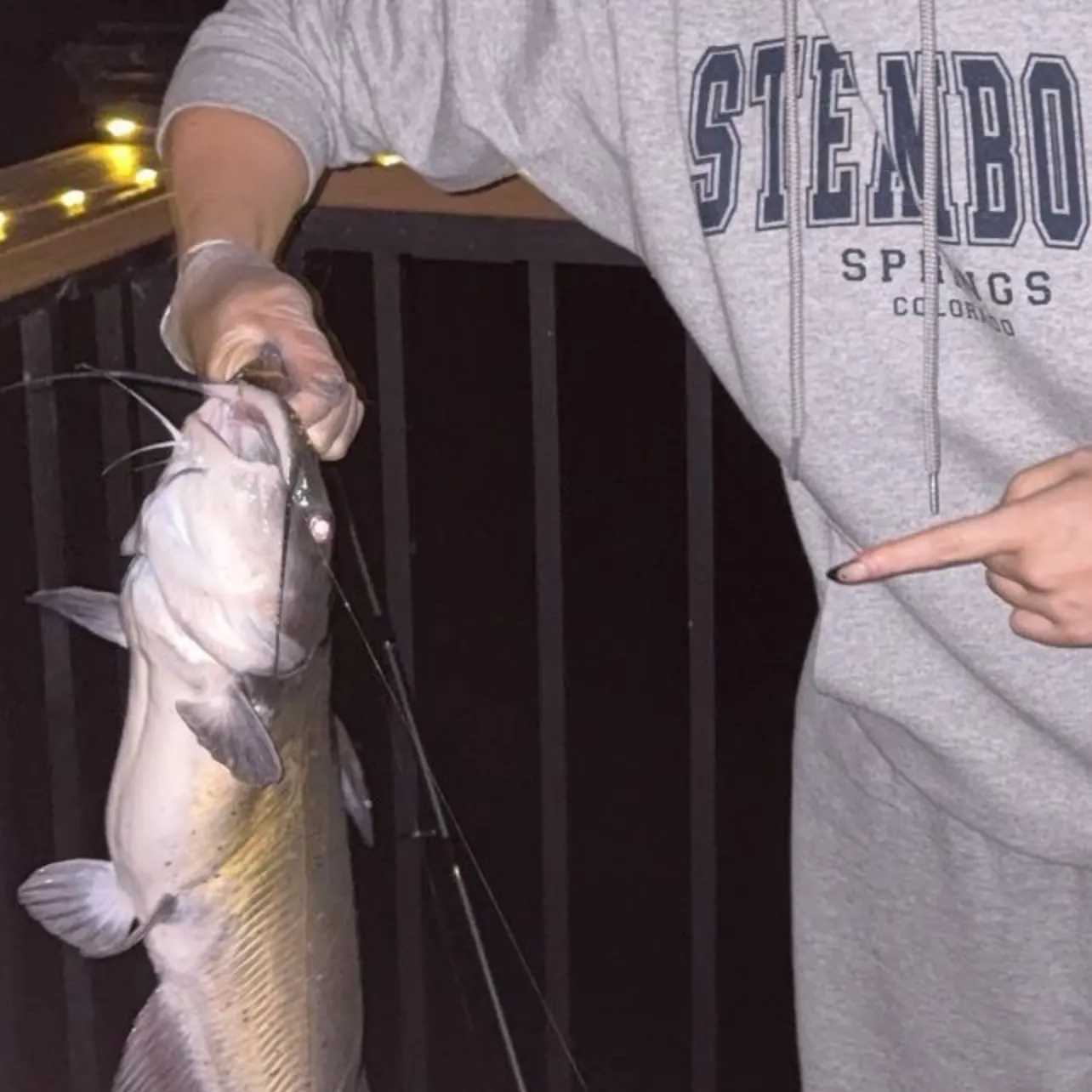 Channel catfish caught on Fishbrain
