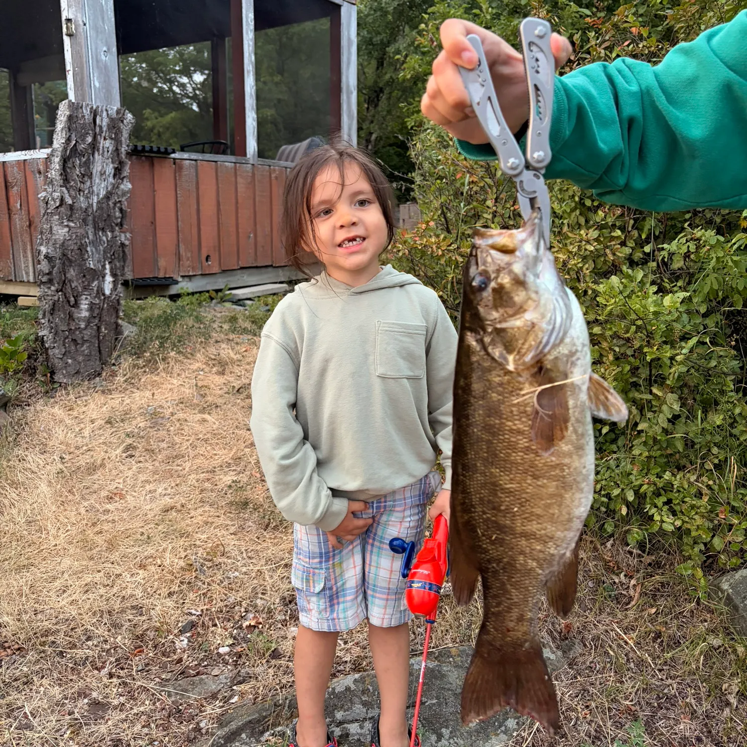 Smallmouth bass caught on Fishbrain