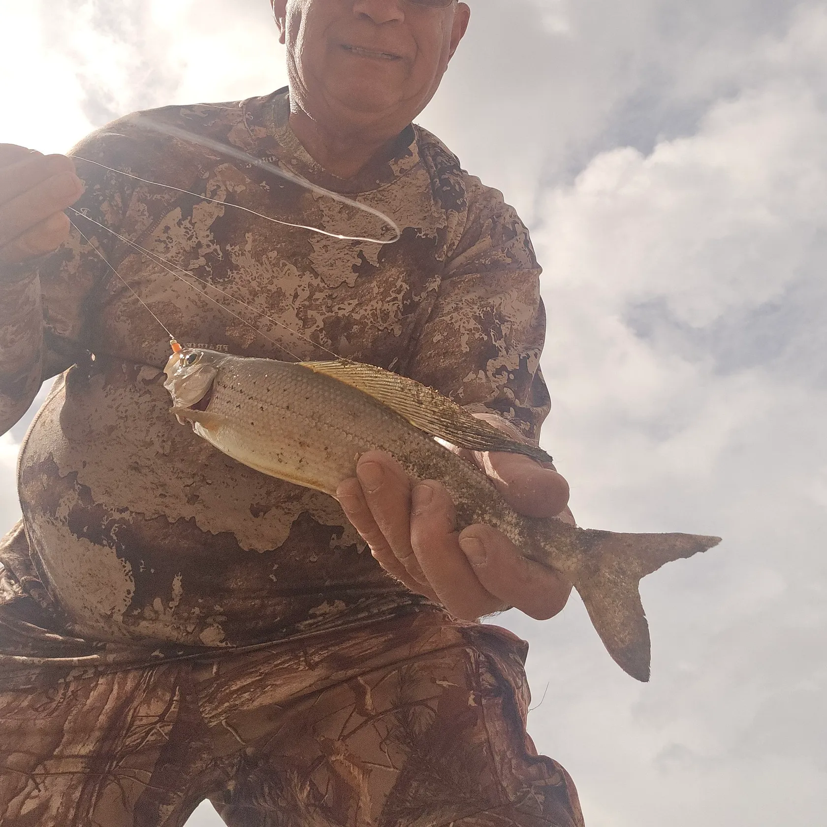 Arctic grayling caught on Fishbrain