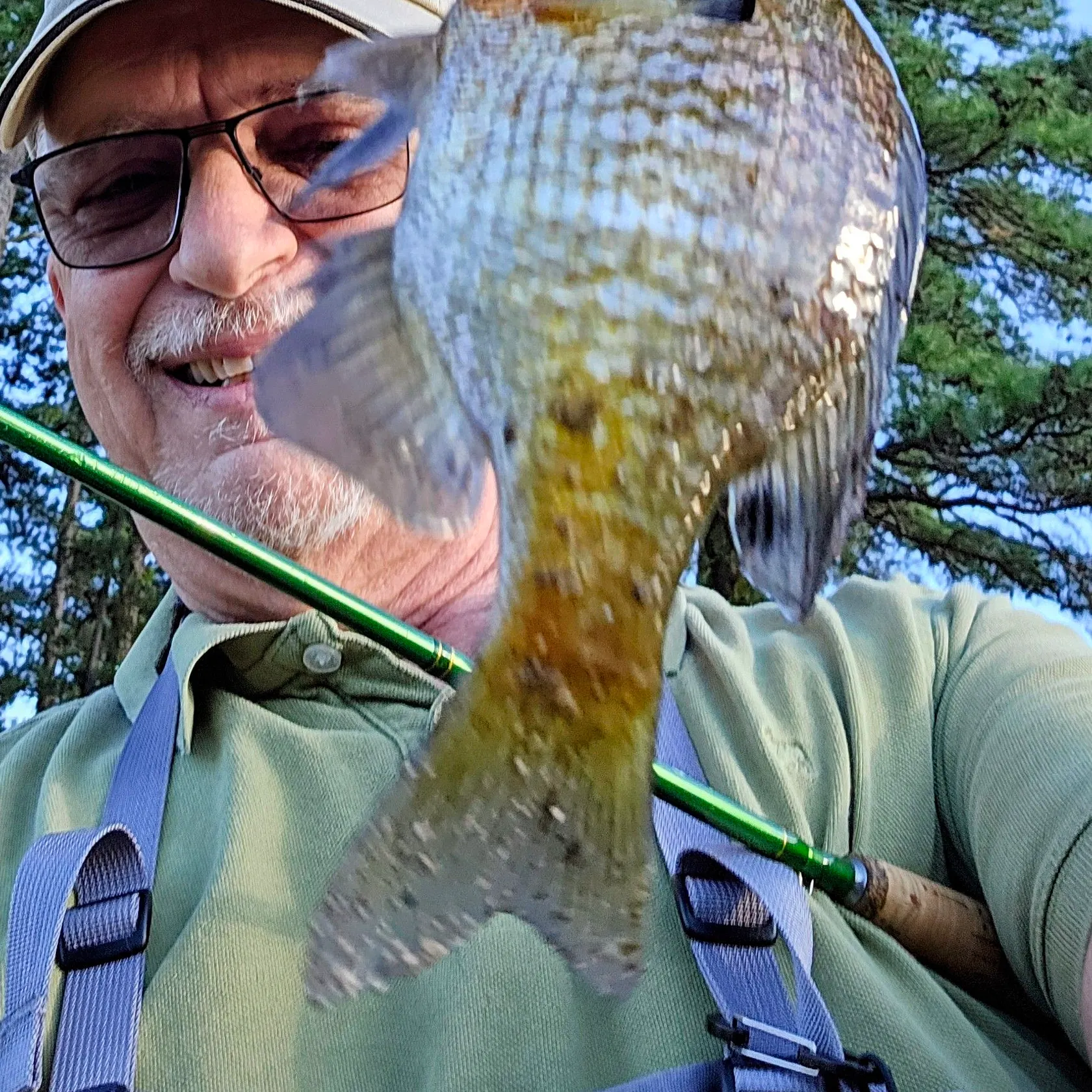 Bluegill caught on Fishbrain