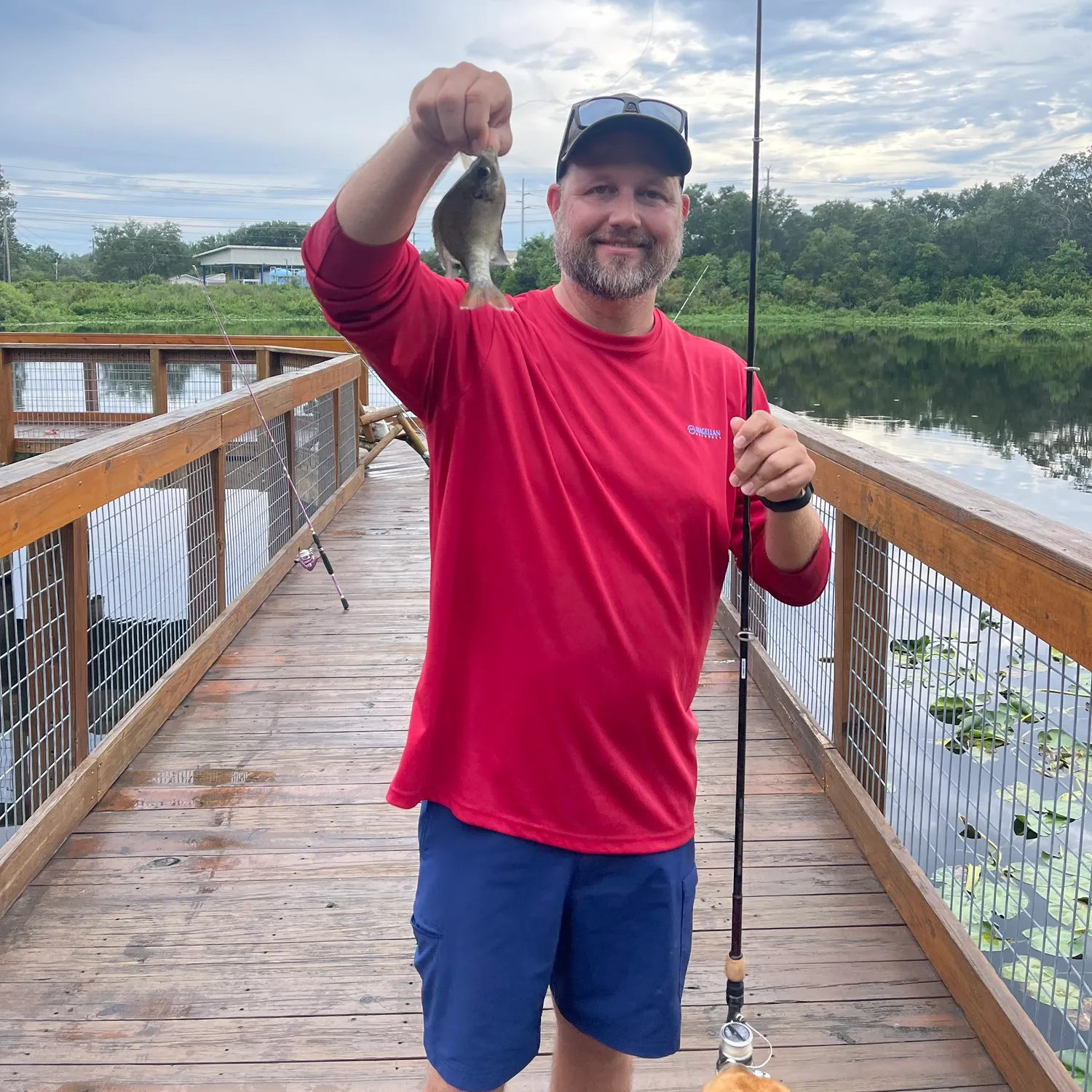 Bluegill caught on Fishbrain