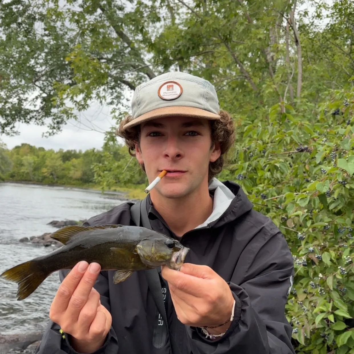 Smallmouth bass caught on Fishbrain